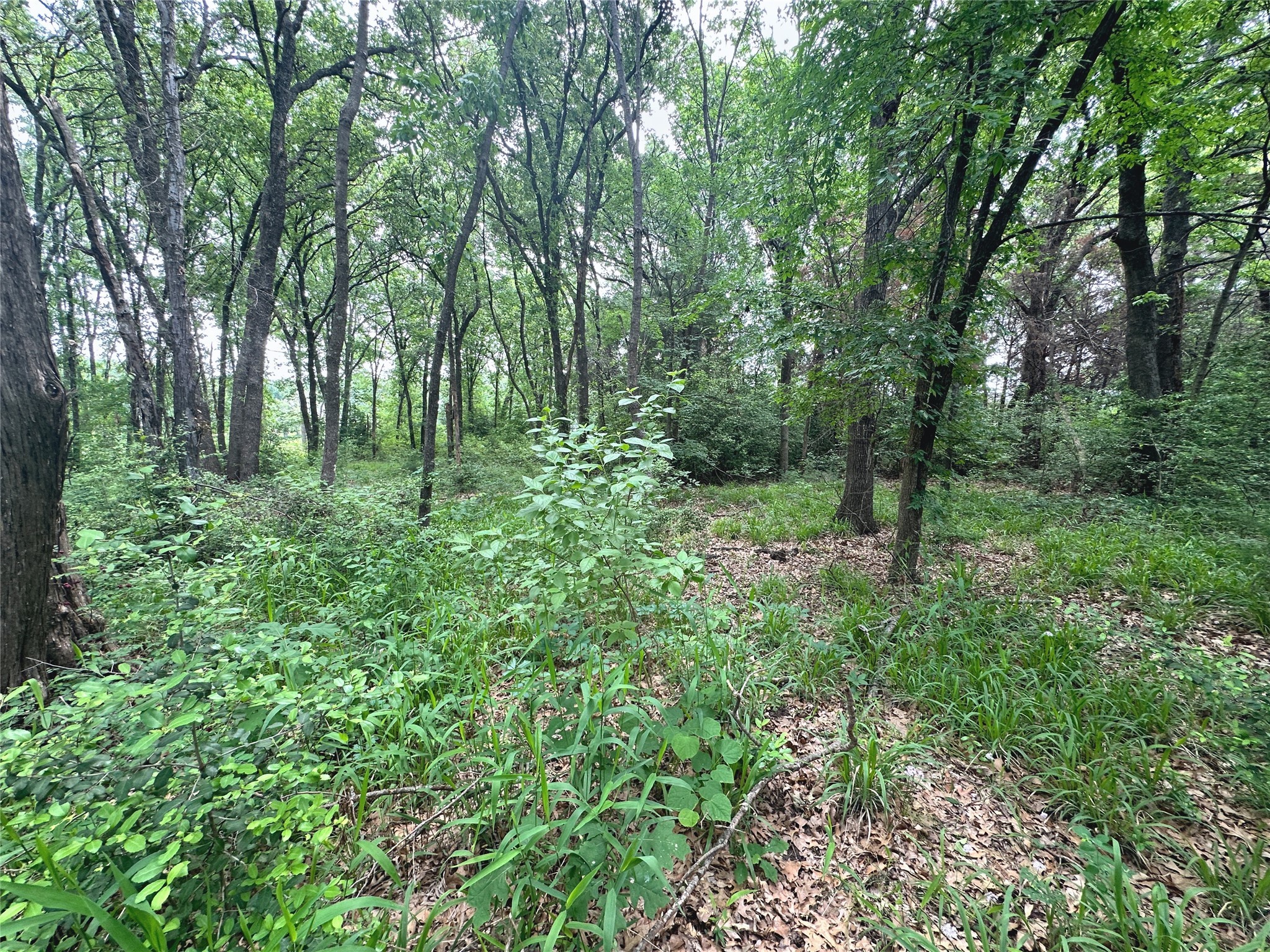 Lot 18 SE County Rd 2230k