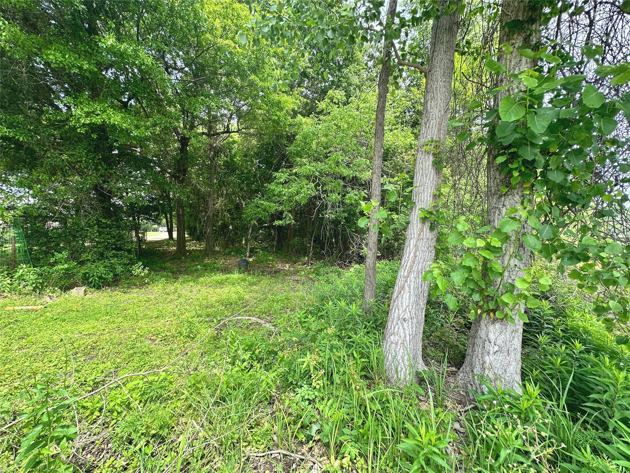 Lot 18 SE County Rd 2230k