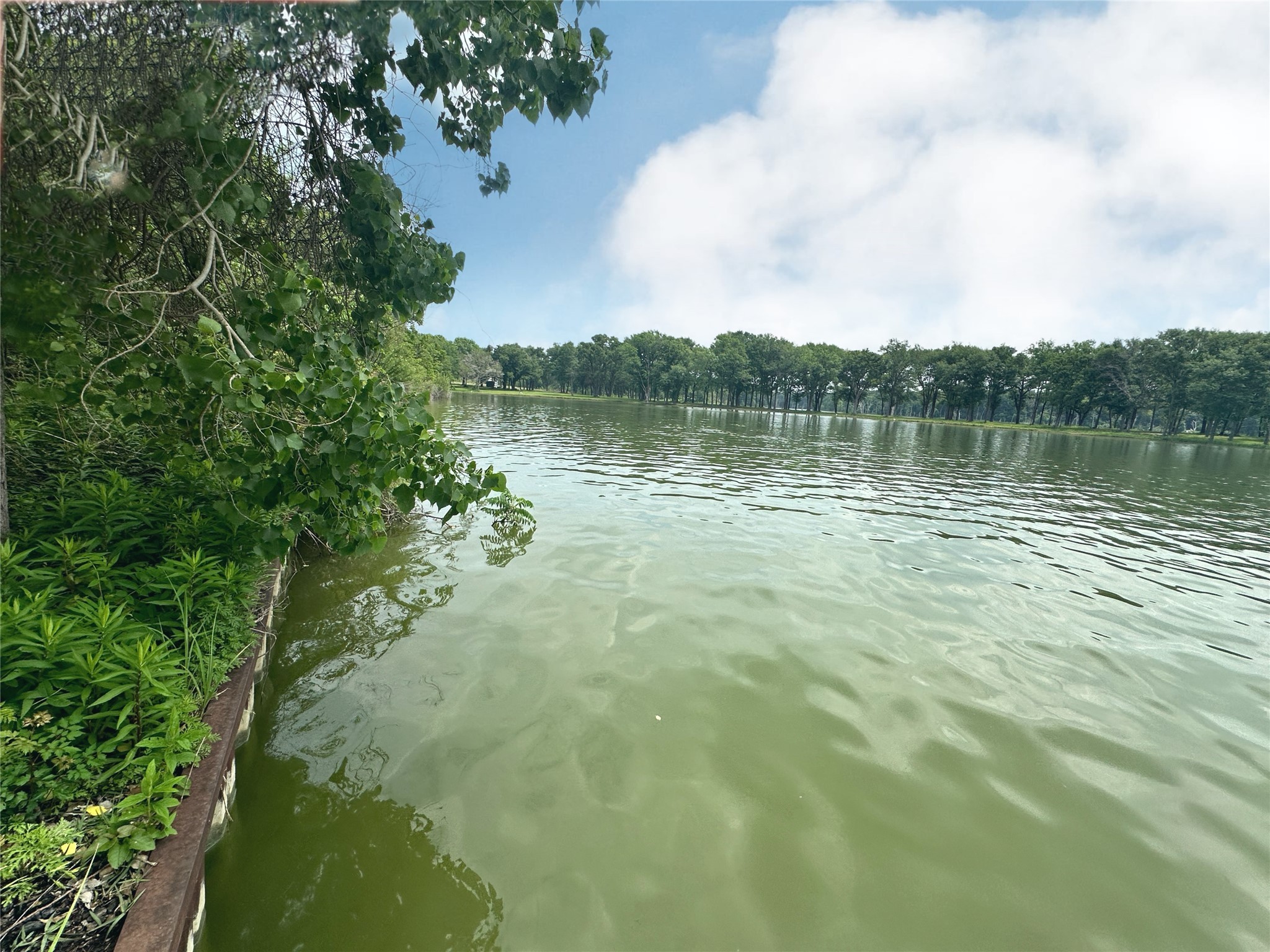 Lot 18 SE County Rd 2230k