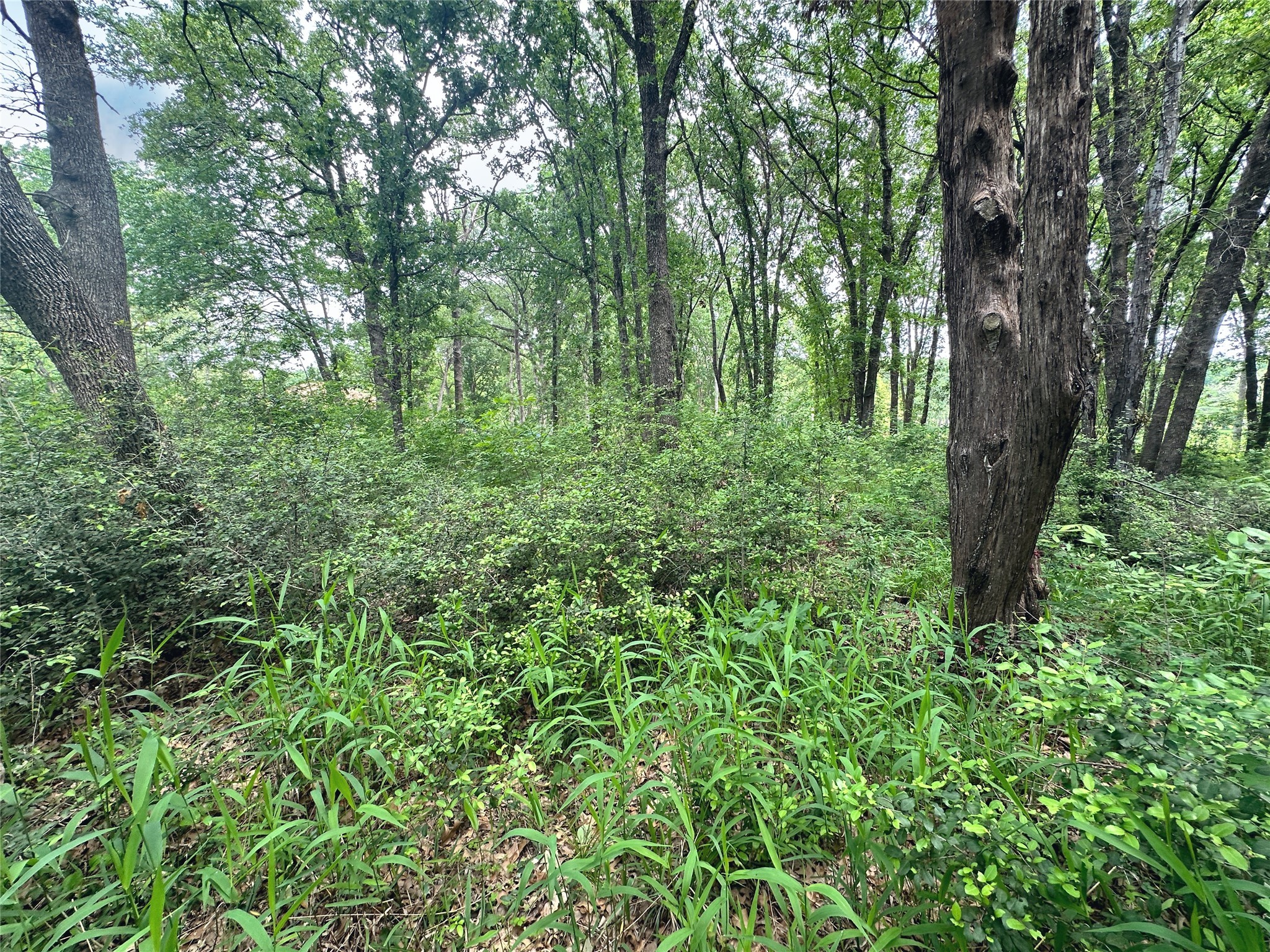Lot 18 SE County Rd 2230k