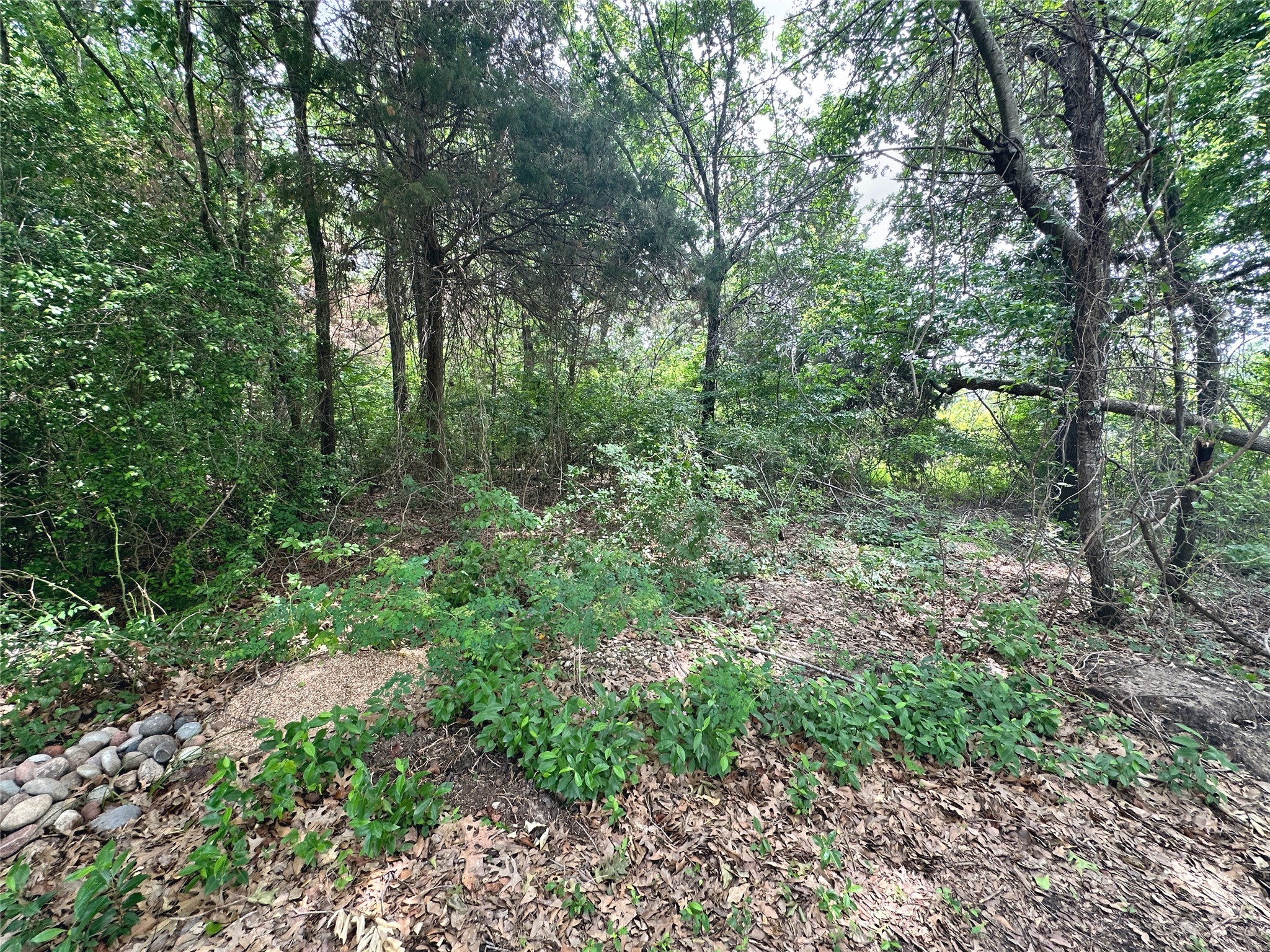Lot 18 SE County Rd 2230k