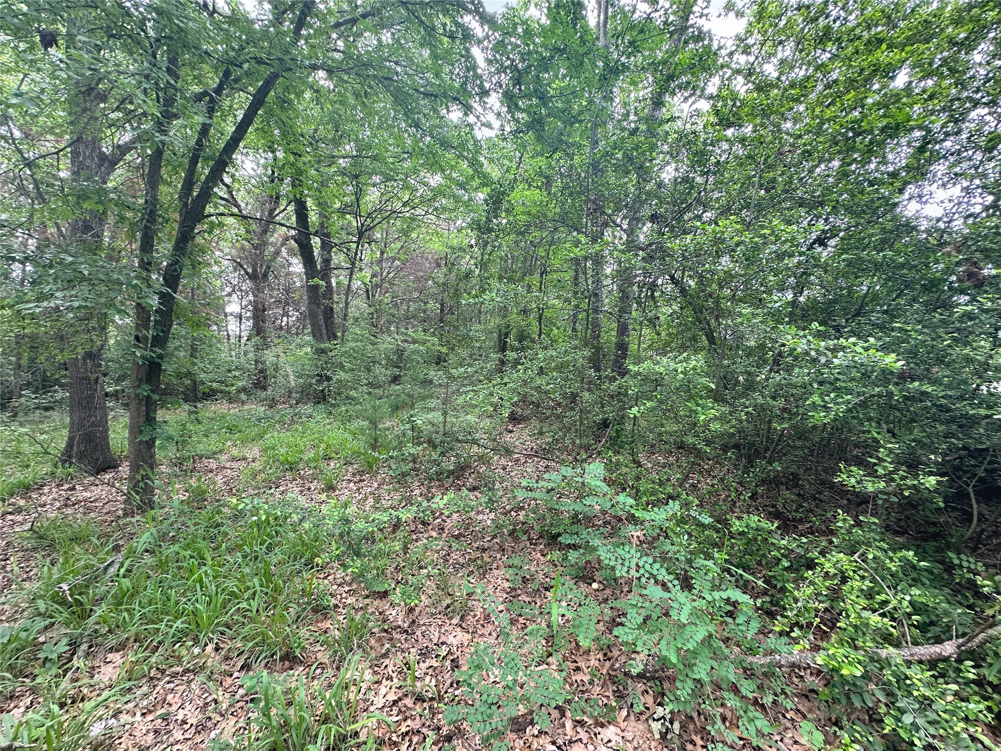 Lot 18 SE County Rd 2230k
