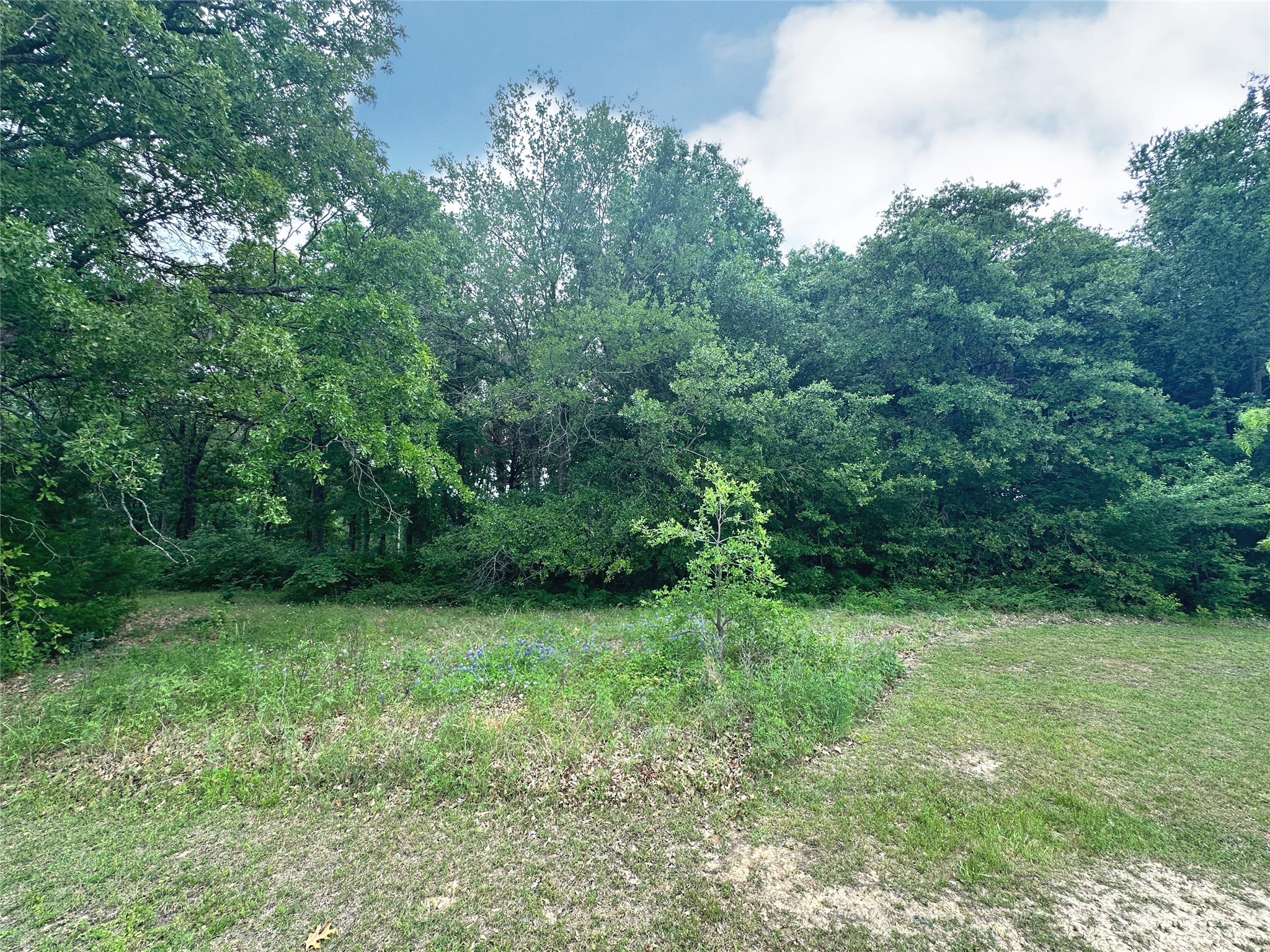 Lot 18 SE County Rd 2230k