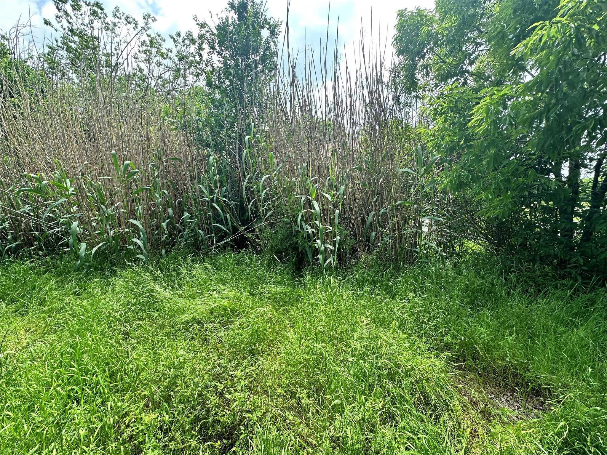 Lot 5A E 14th Avenue