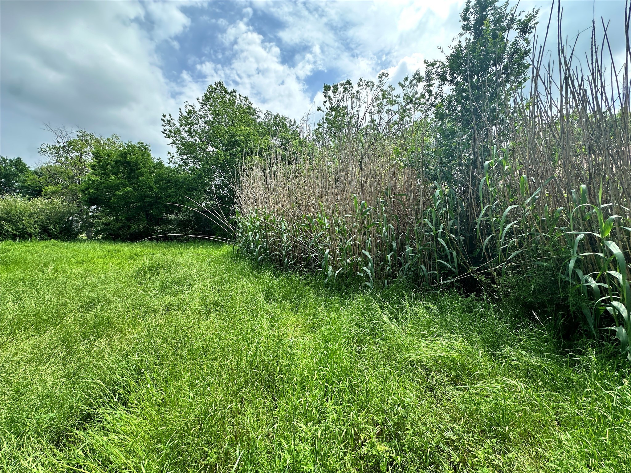 Lot 5A E 14th Avenue