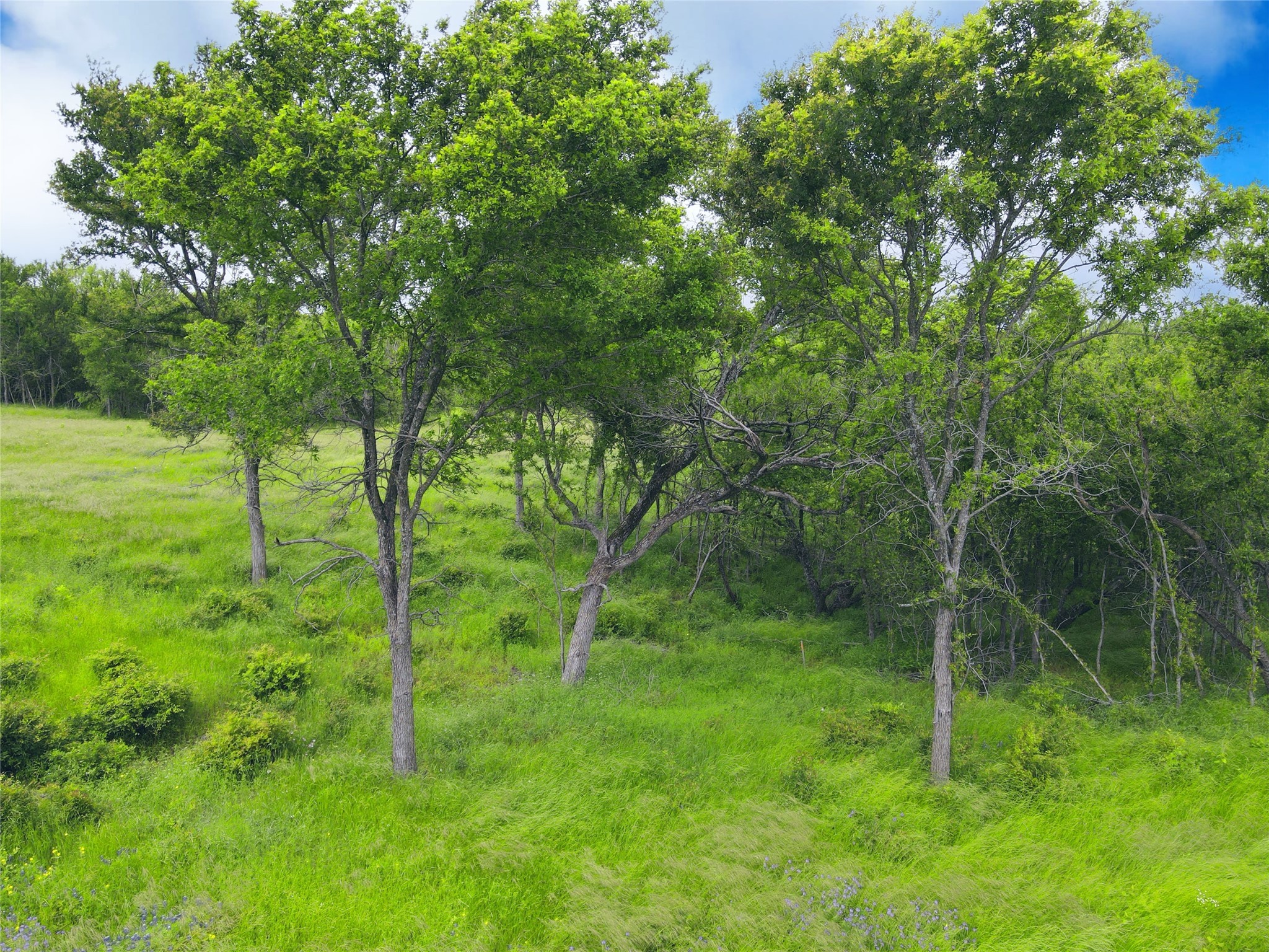 Lot 62 & BS #20 Sunset Court