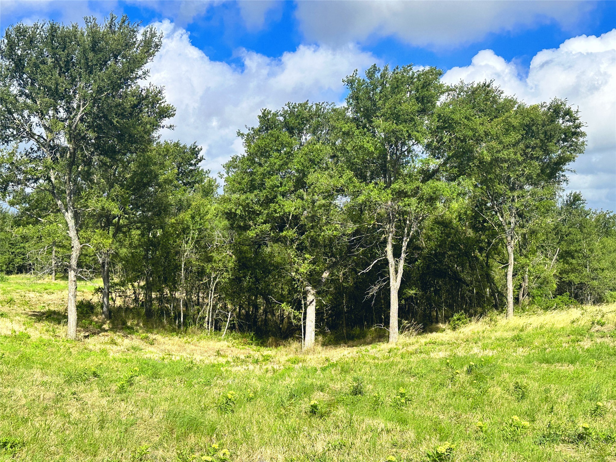 Lot 62 & BS #20 Sunset Court