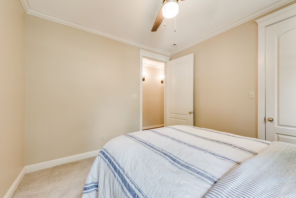 217 Starcrest