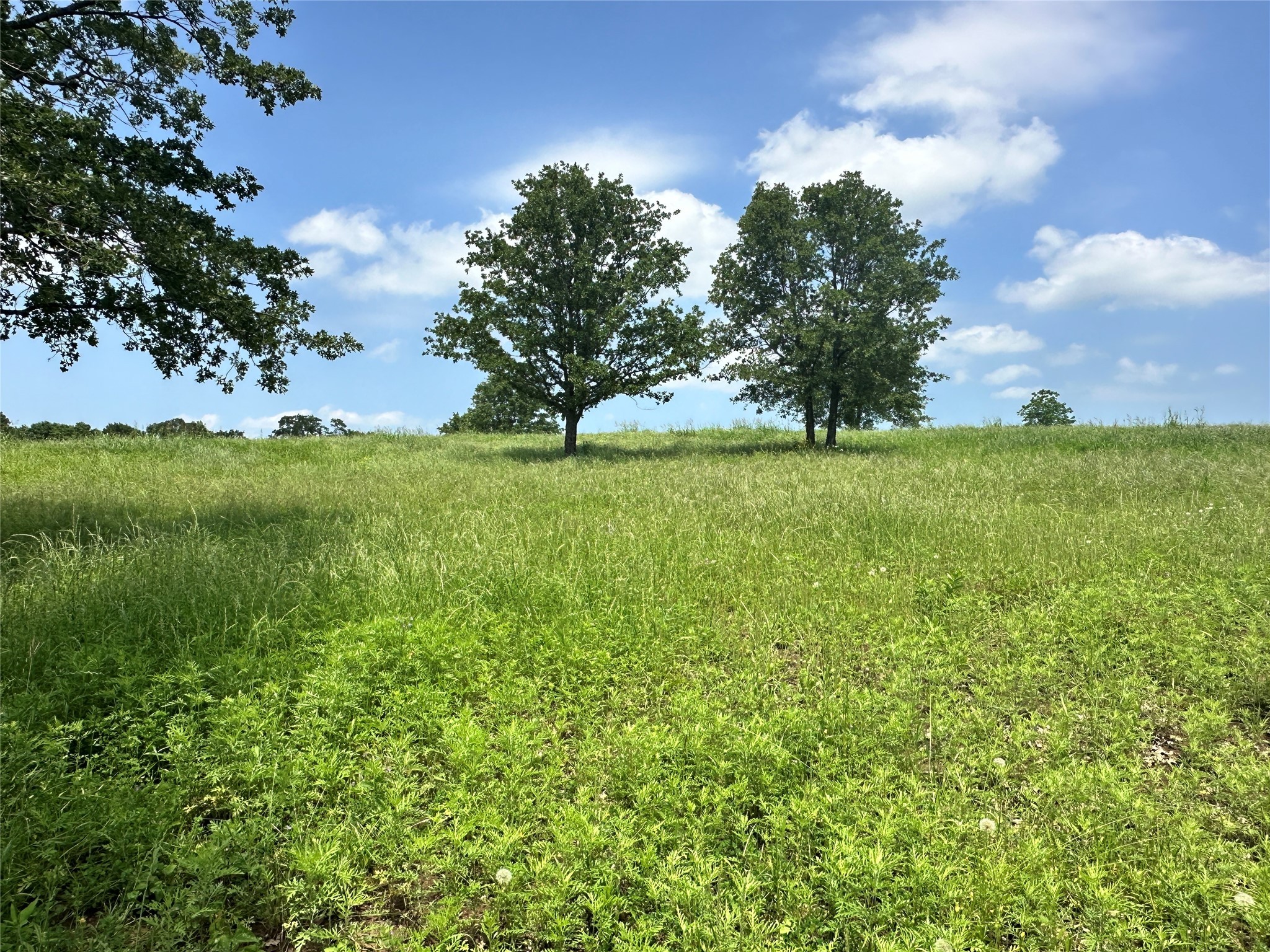 Lot 31 Lake Ridge Drive