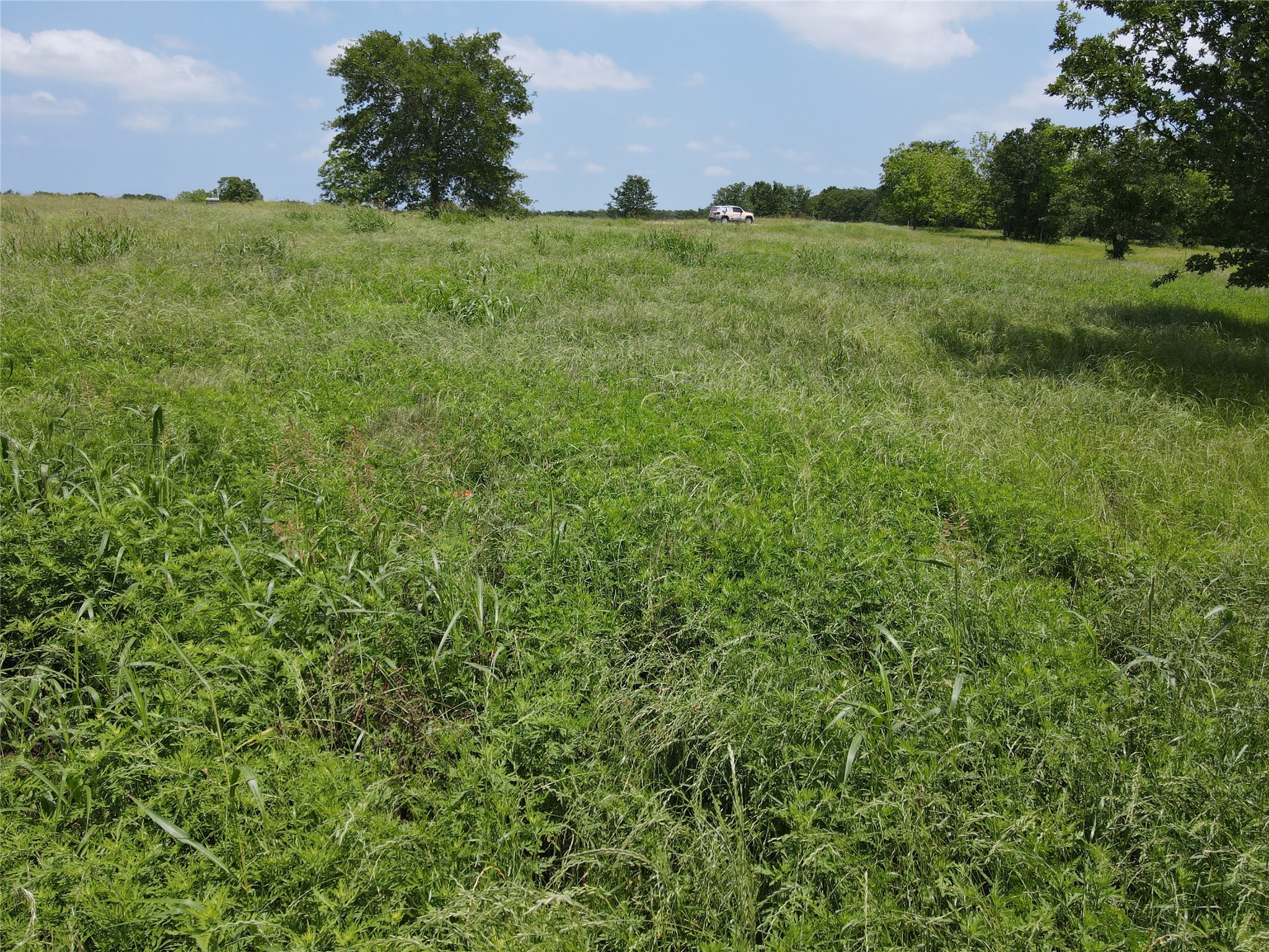 Lot 31 Lake Ridge Drive
