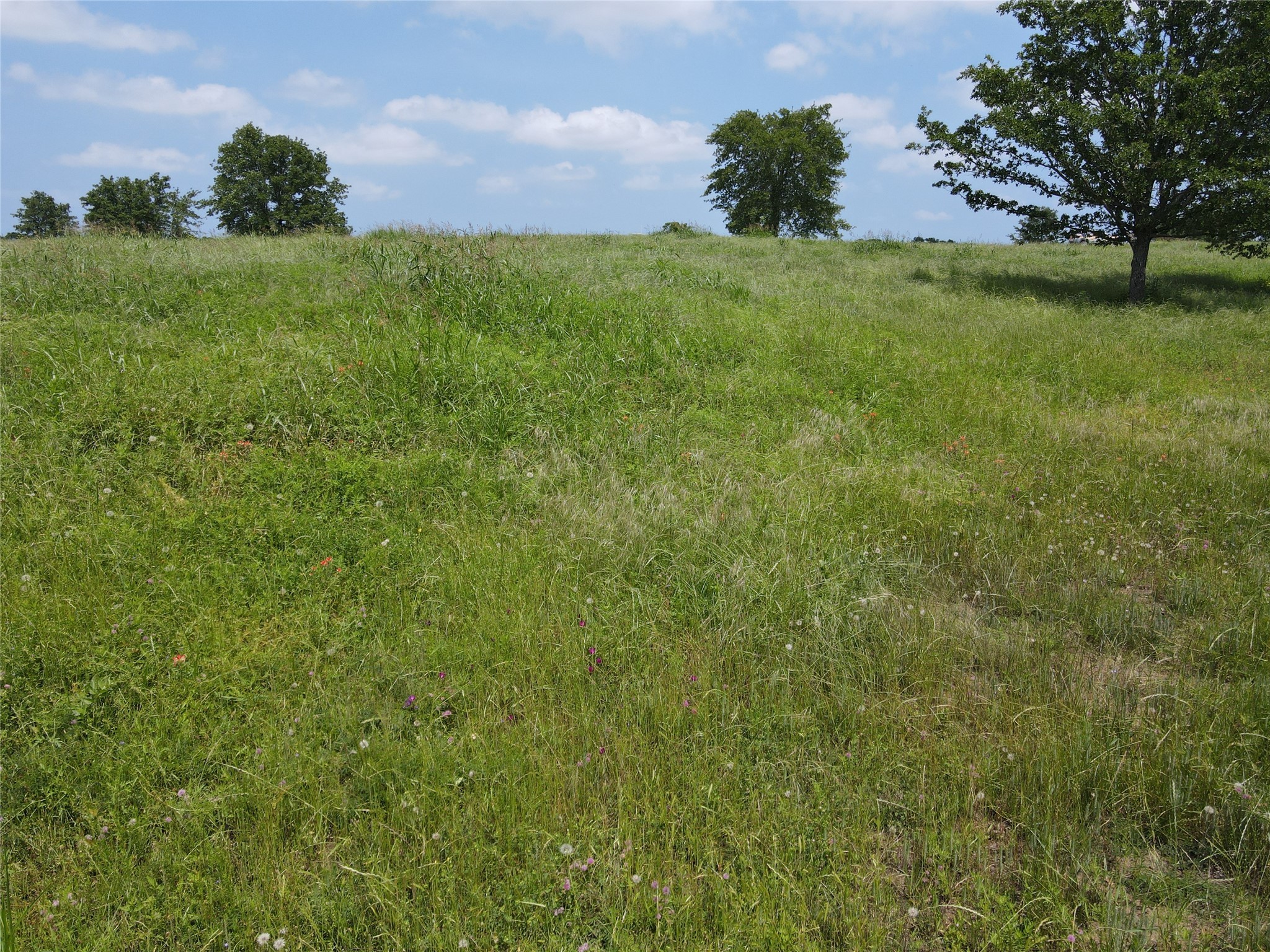 Lot 31 Lake Ridge Drive