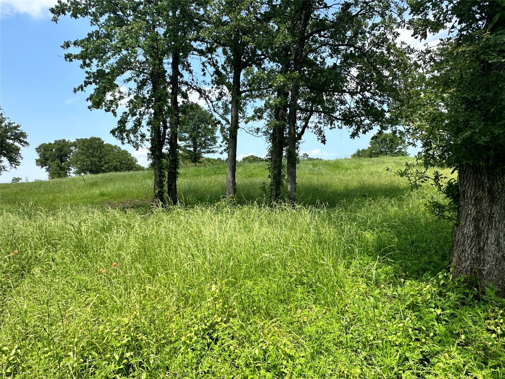 Lot 31 Lake Ridge Drive