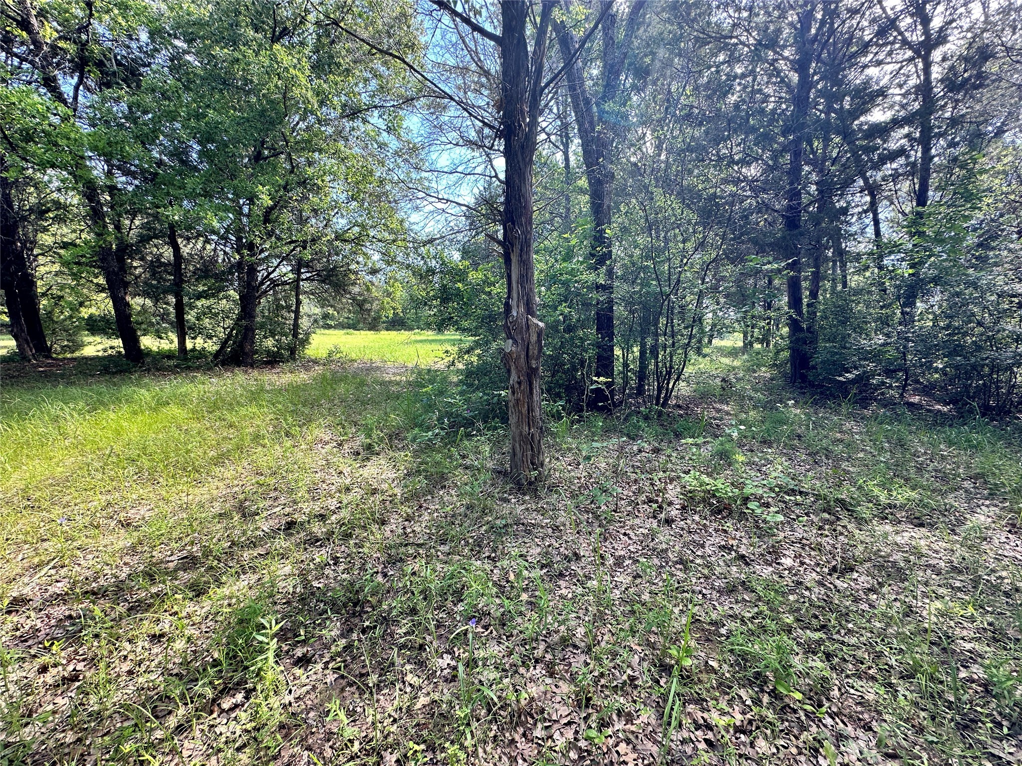 Lot 6 Sweetwater Trail