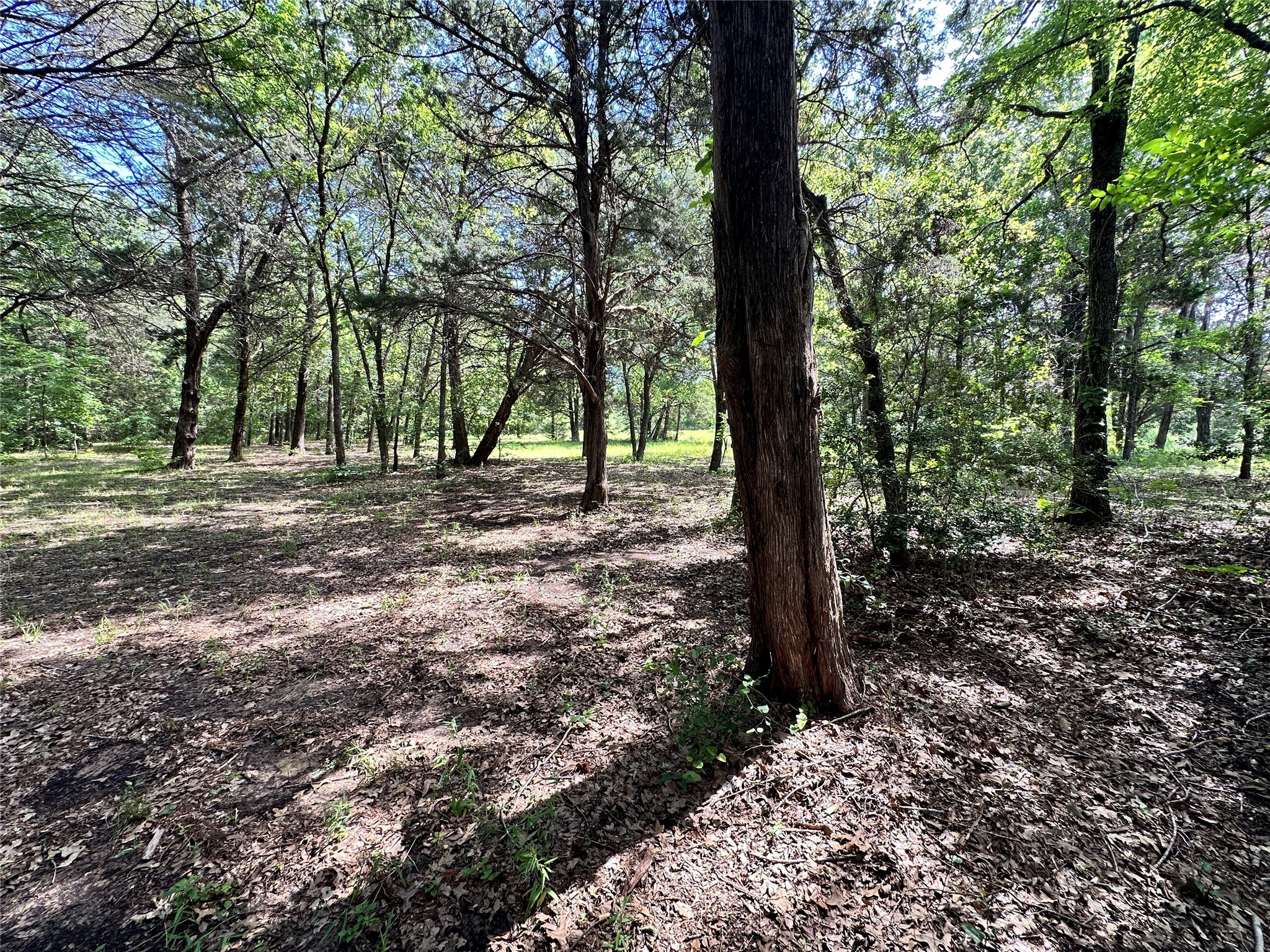 Lot 6 Sweetwater Trail