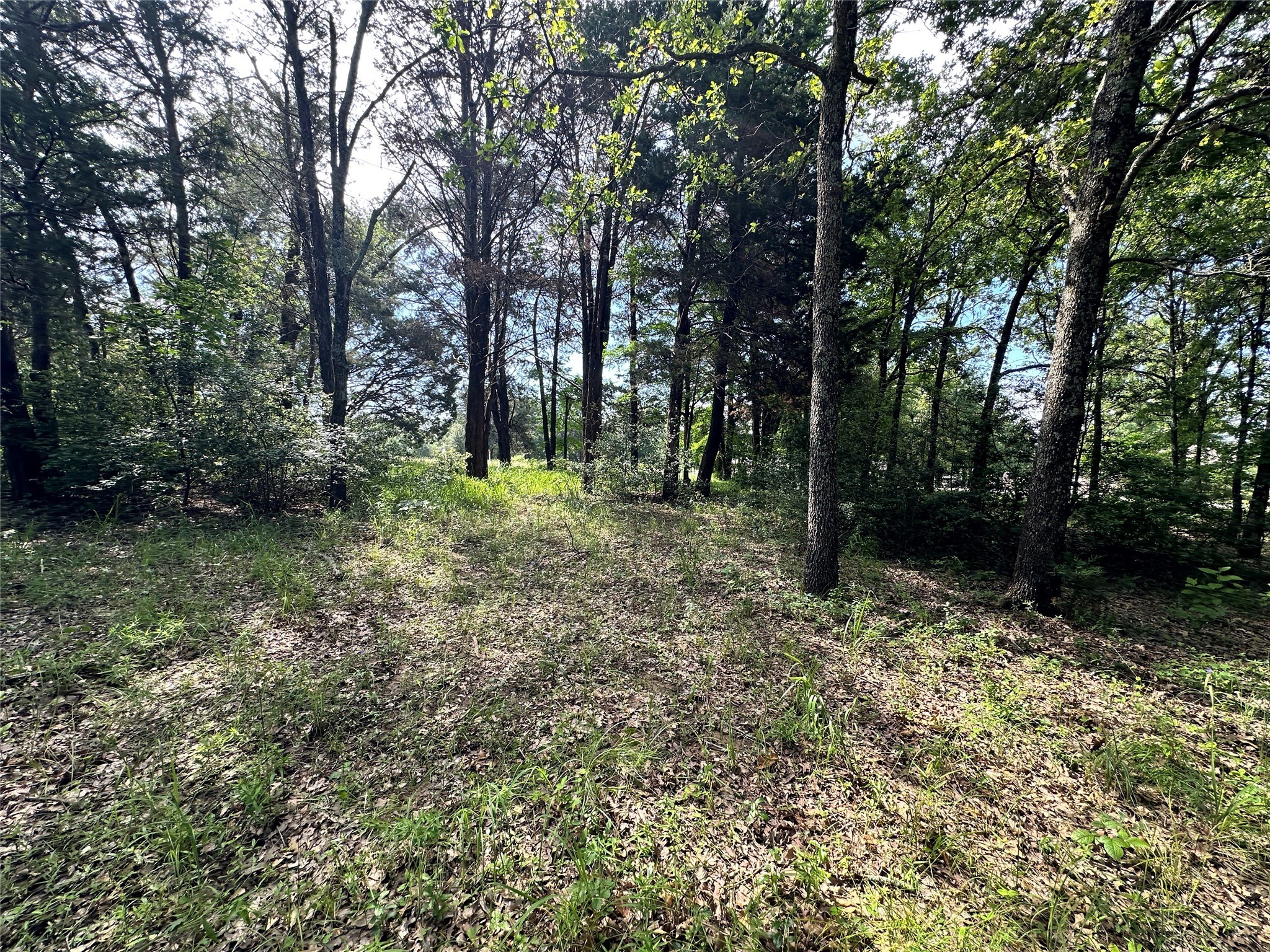 Lot 6 Sweetwater Trail