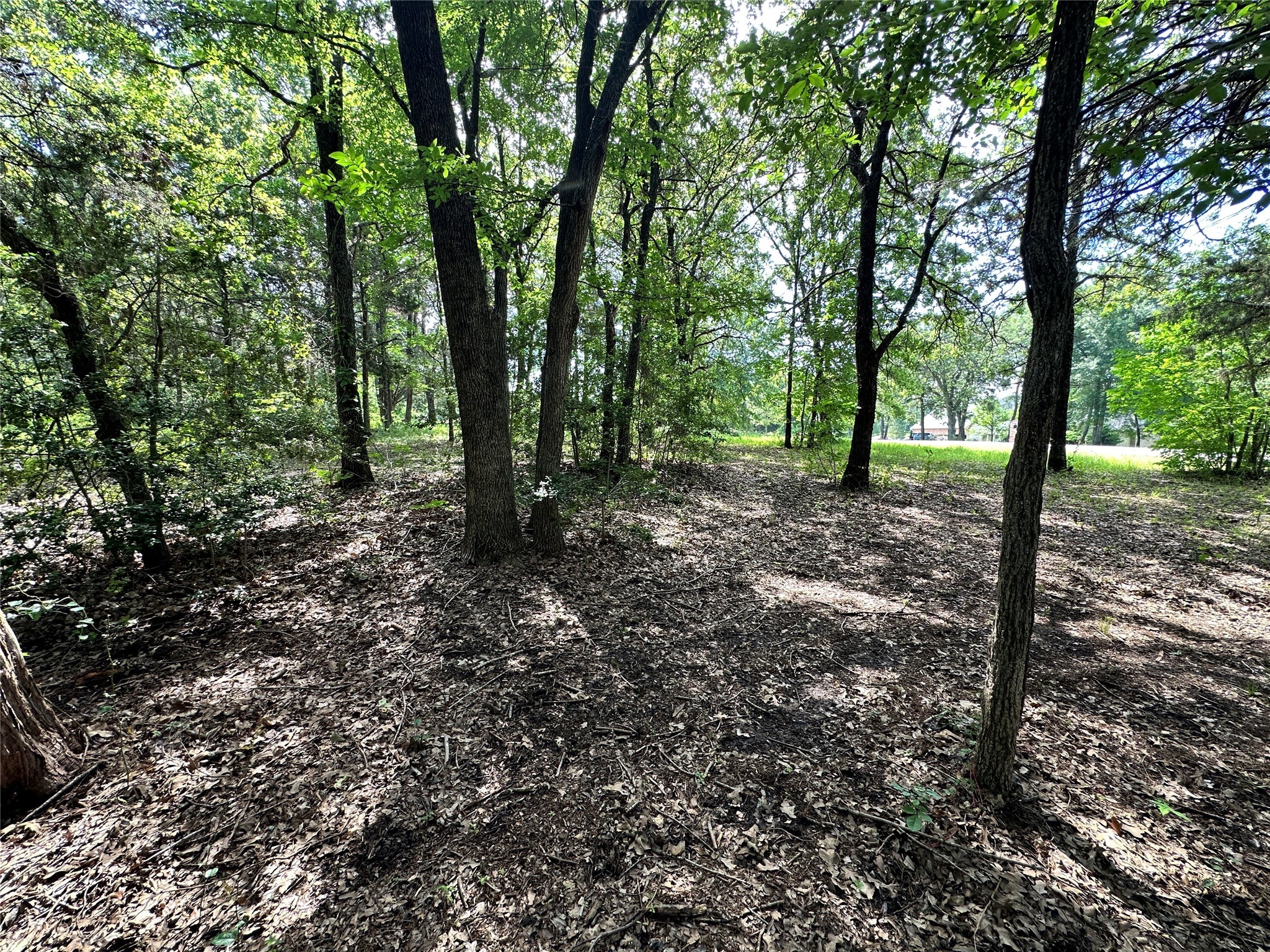 Lot 6 Sweetwater Trail
