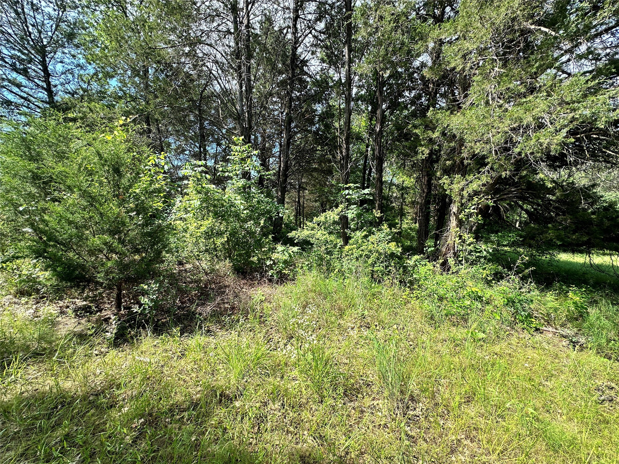 Lot 6 Sweetwater Trail