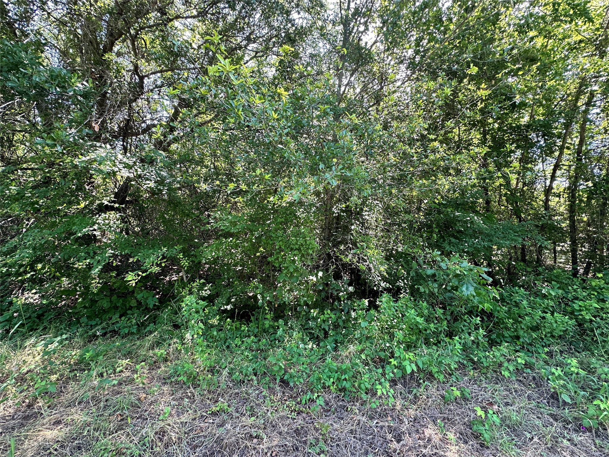 Lot 4 SECR 3258