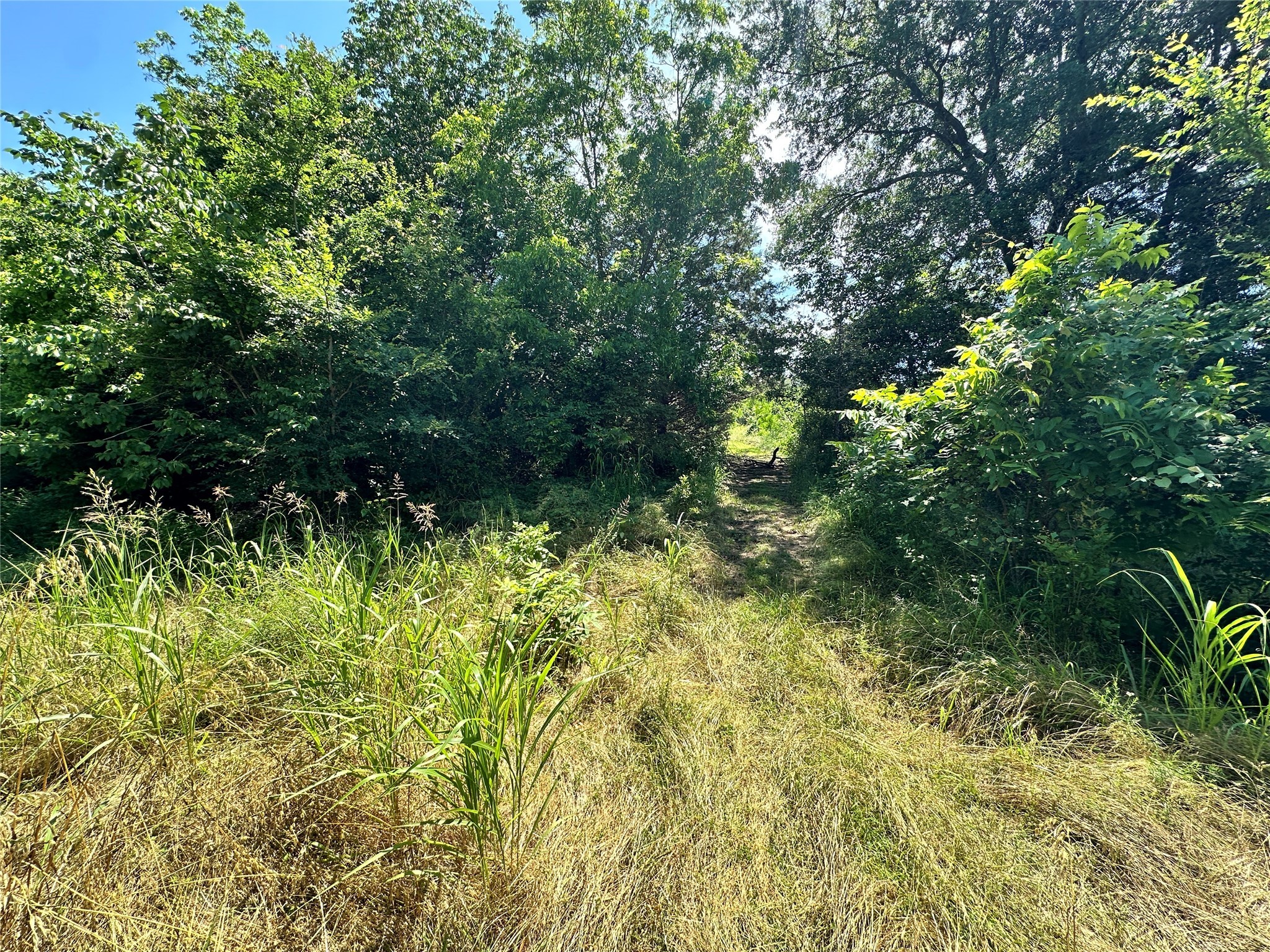 Lot 4 SECR 3258