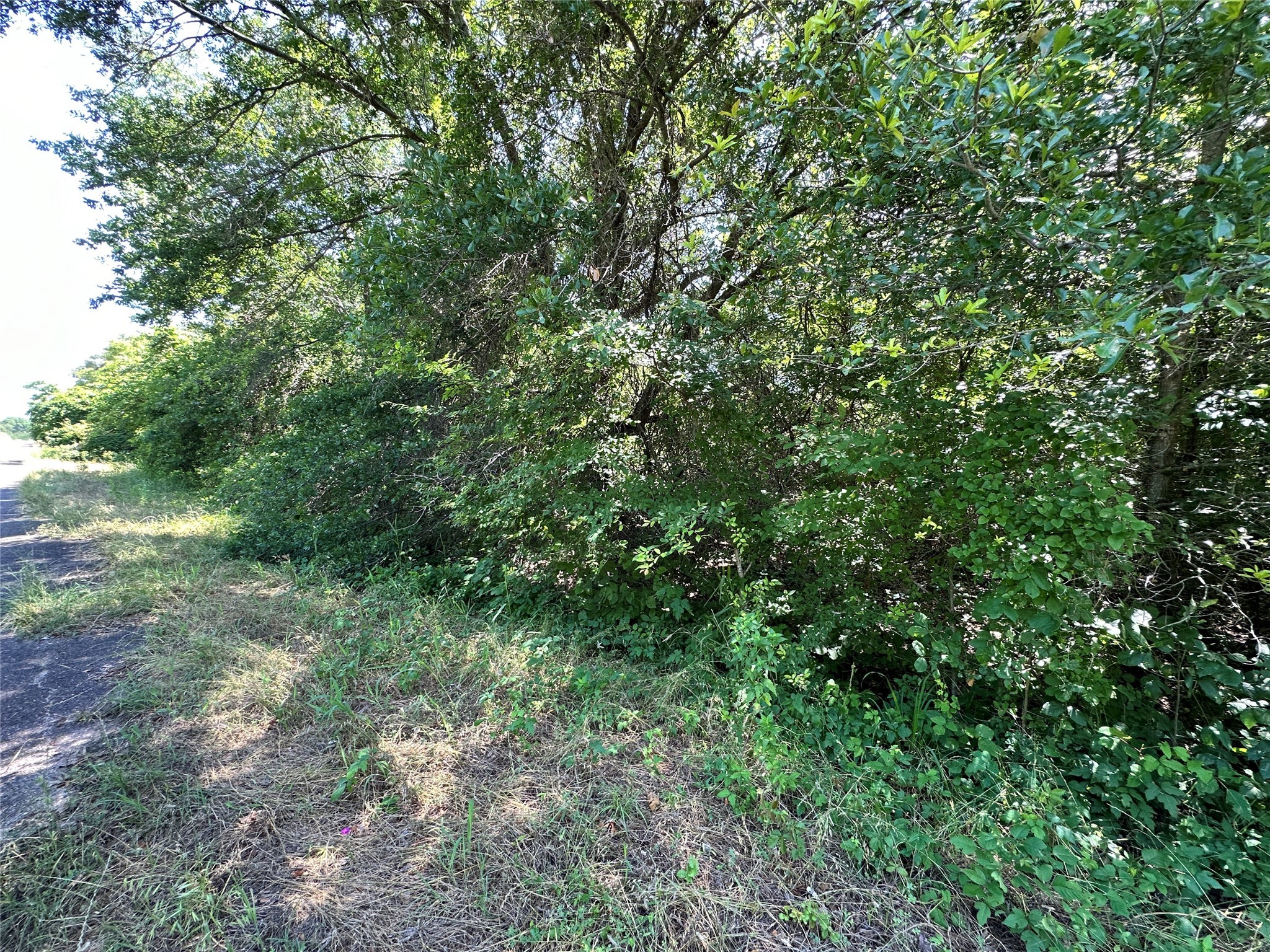 Lot 4 SECR 3258