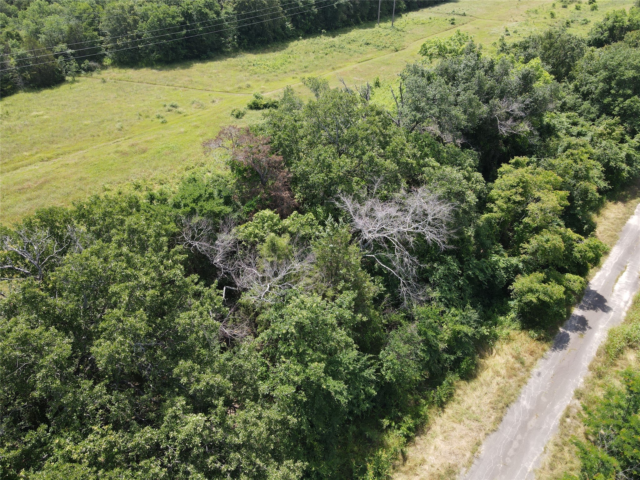 Lot 5 SECR 3258