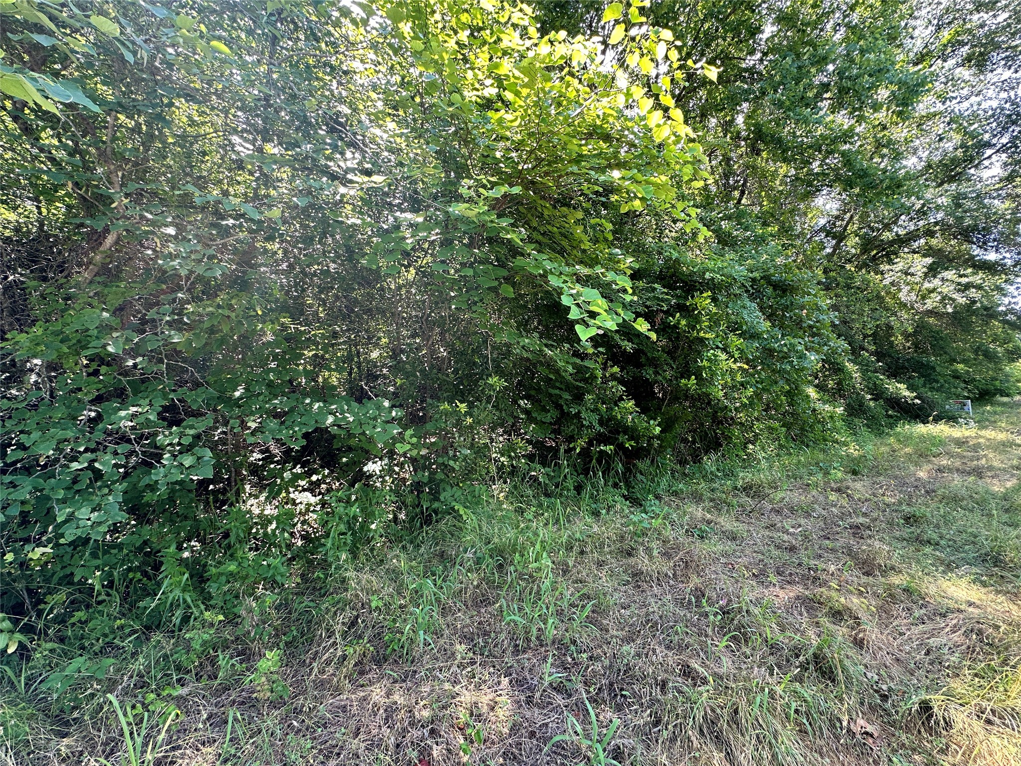 Lot 5 SECR 3258