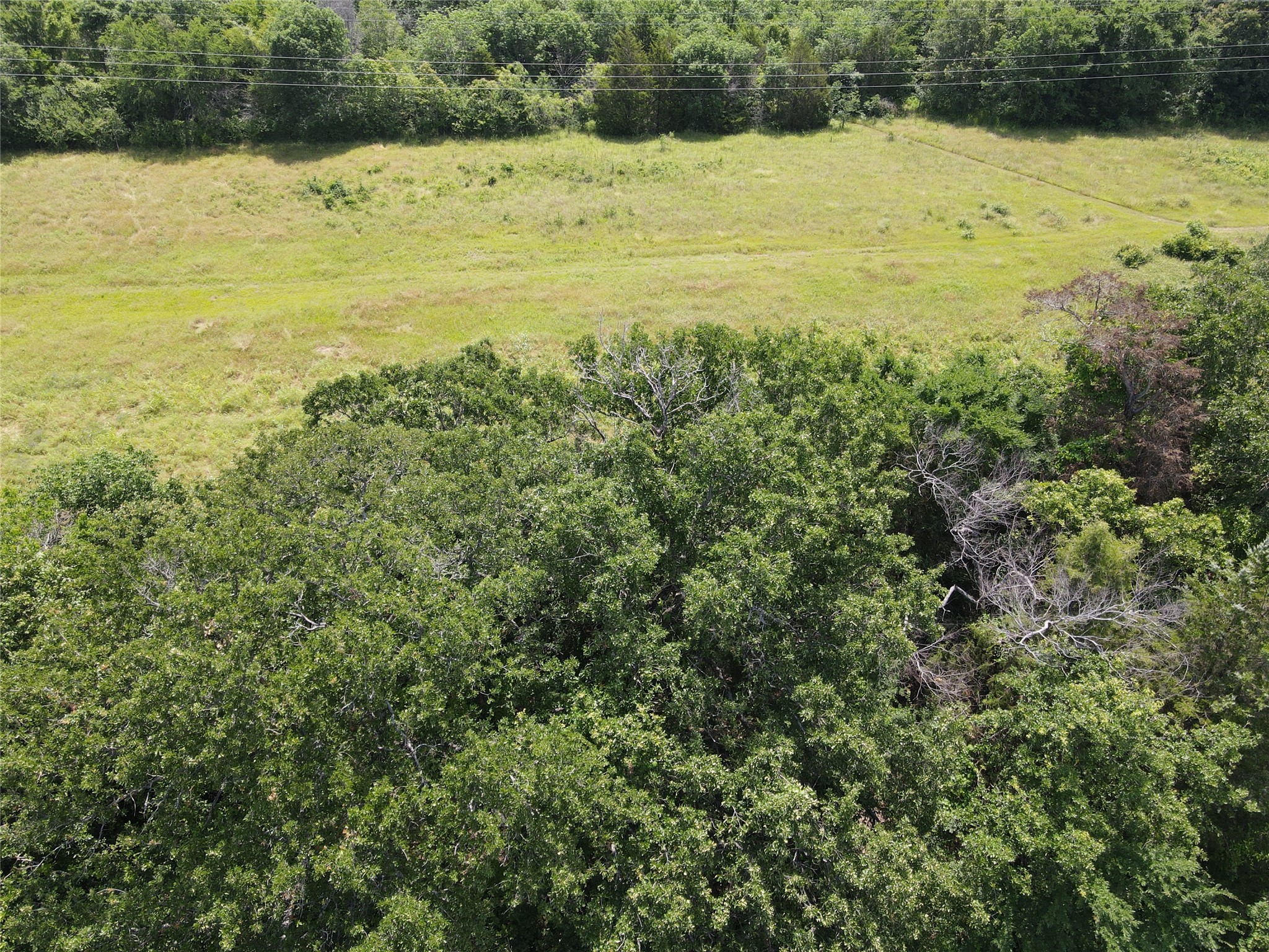 Lot 5 SECR 3258