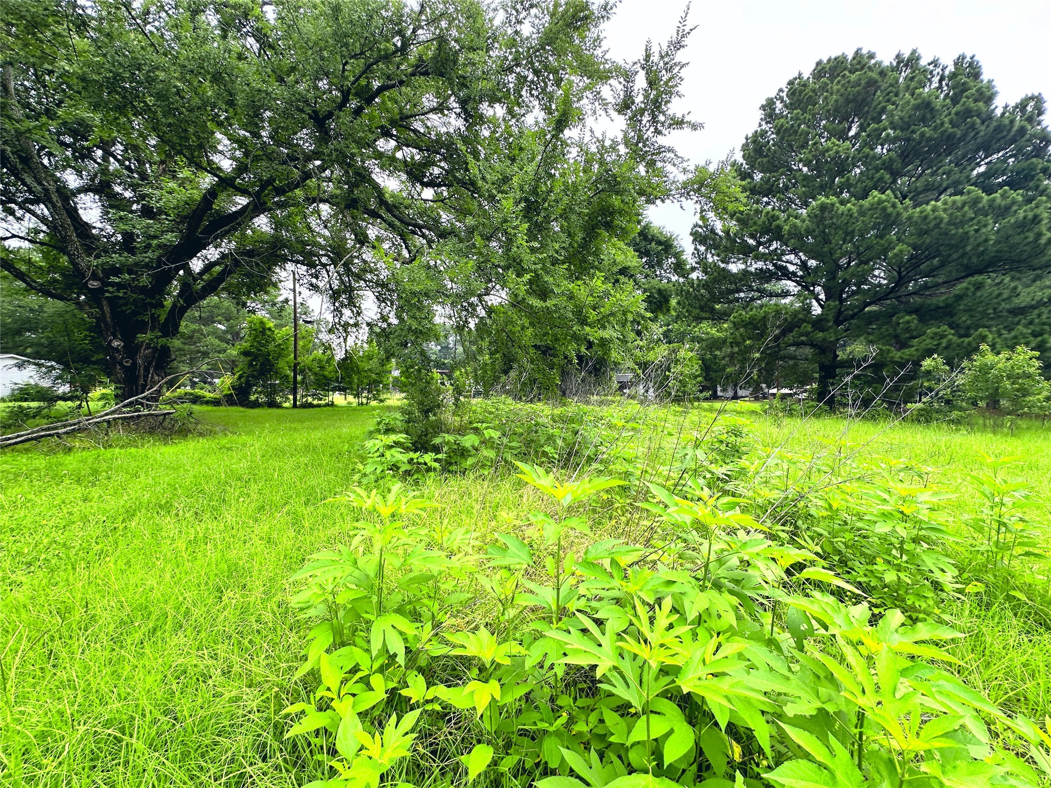Lot 2 Cypress Avenue