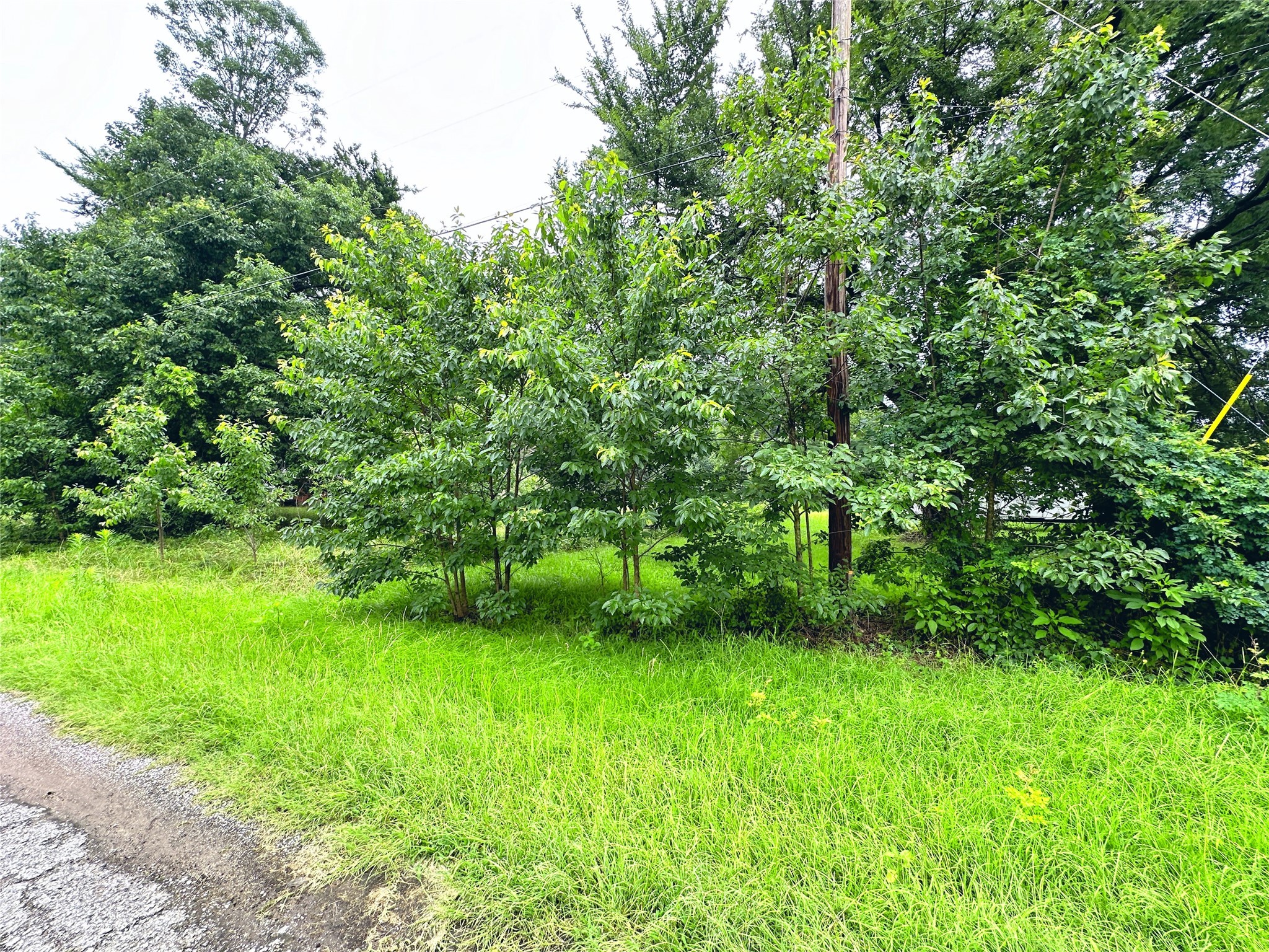Lot 2 Cypress Avenue