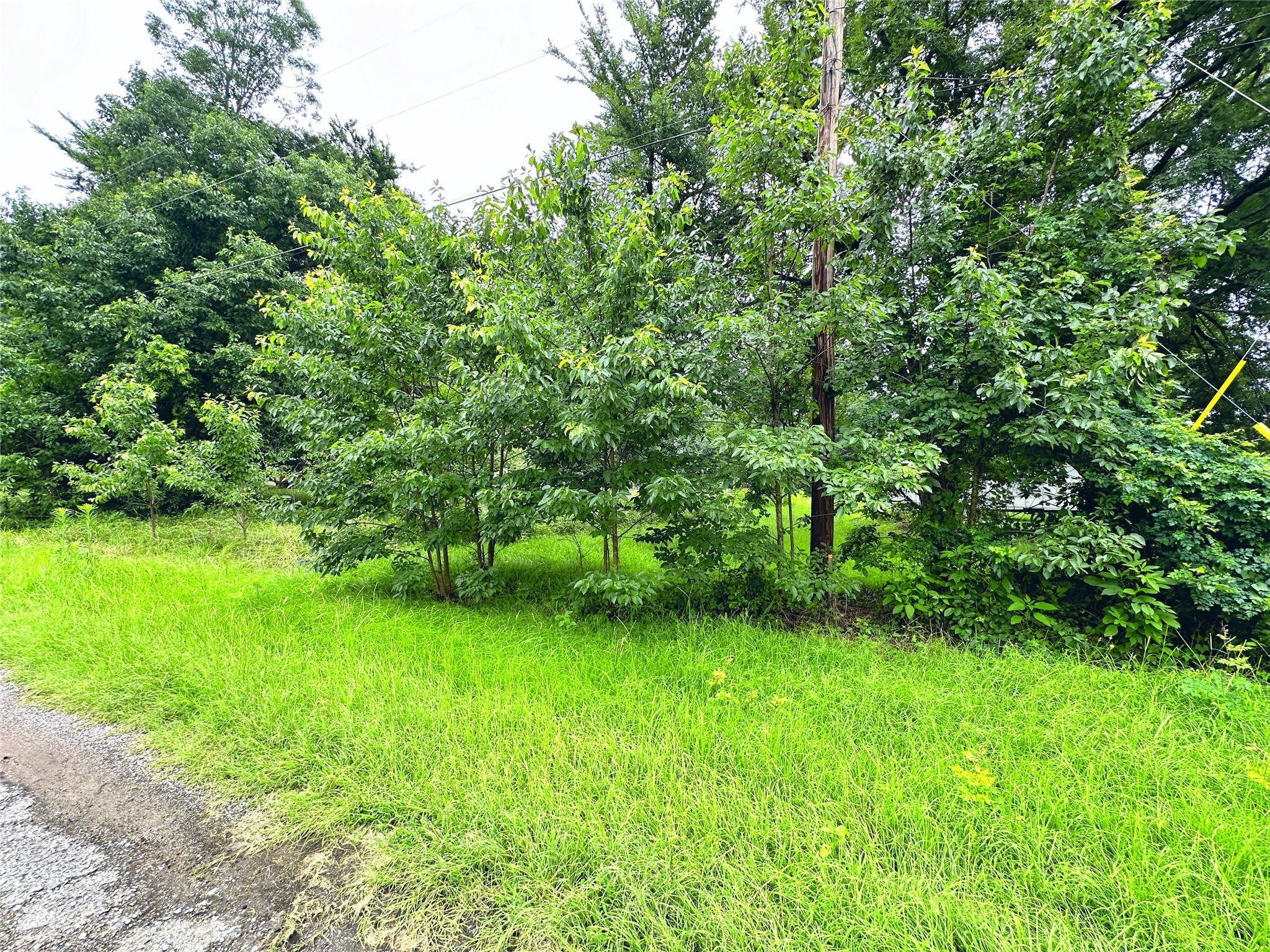 Lot 2 Cypress Avenue