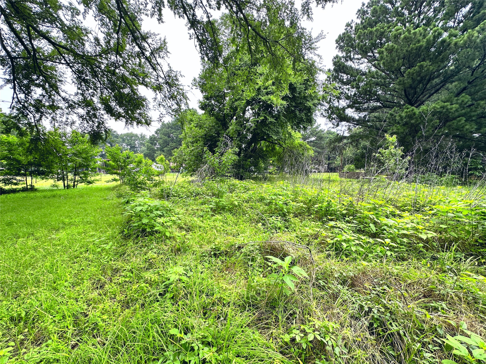 Lot 2 Cypress Avenue