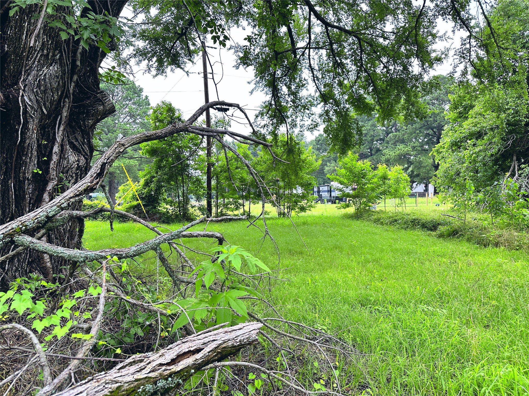 Lot 2 Cypress Avenue