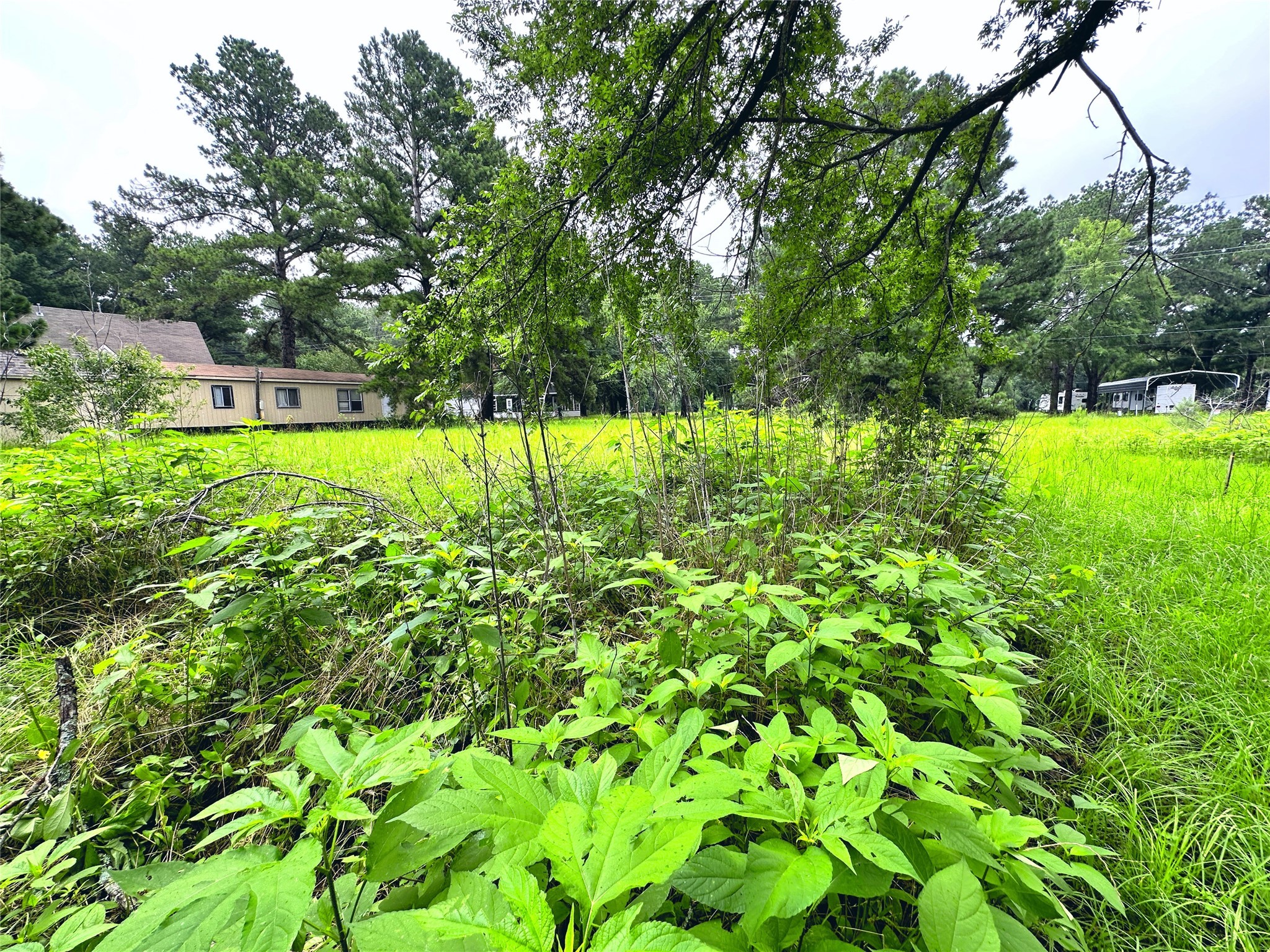 Lot 2 Cypress Avenue