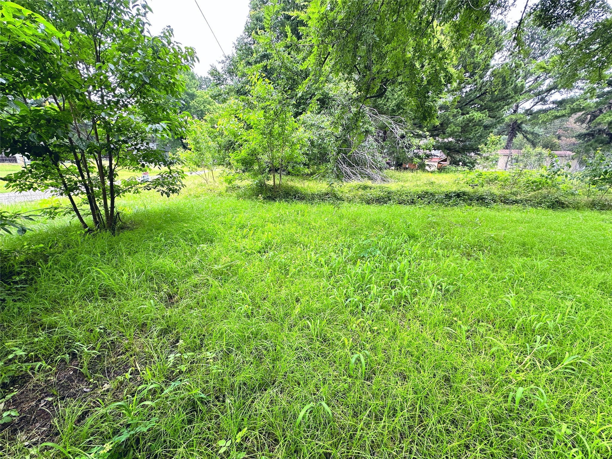 Lot 2 Cypress Avenue