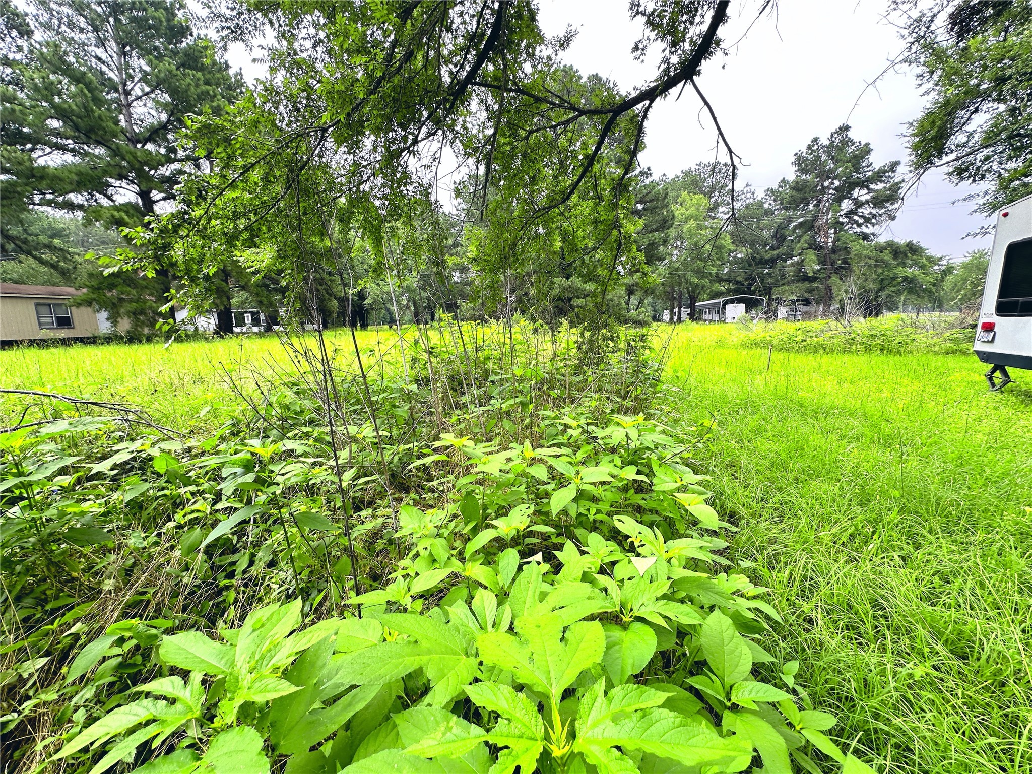 Lot 2 Cypress Avenue