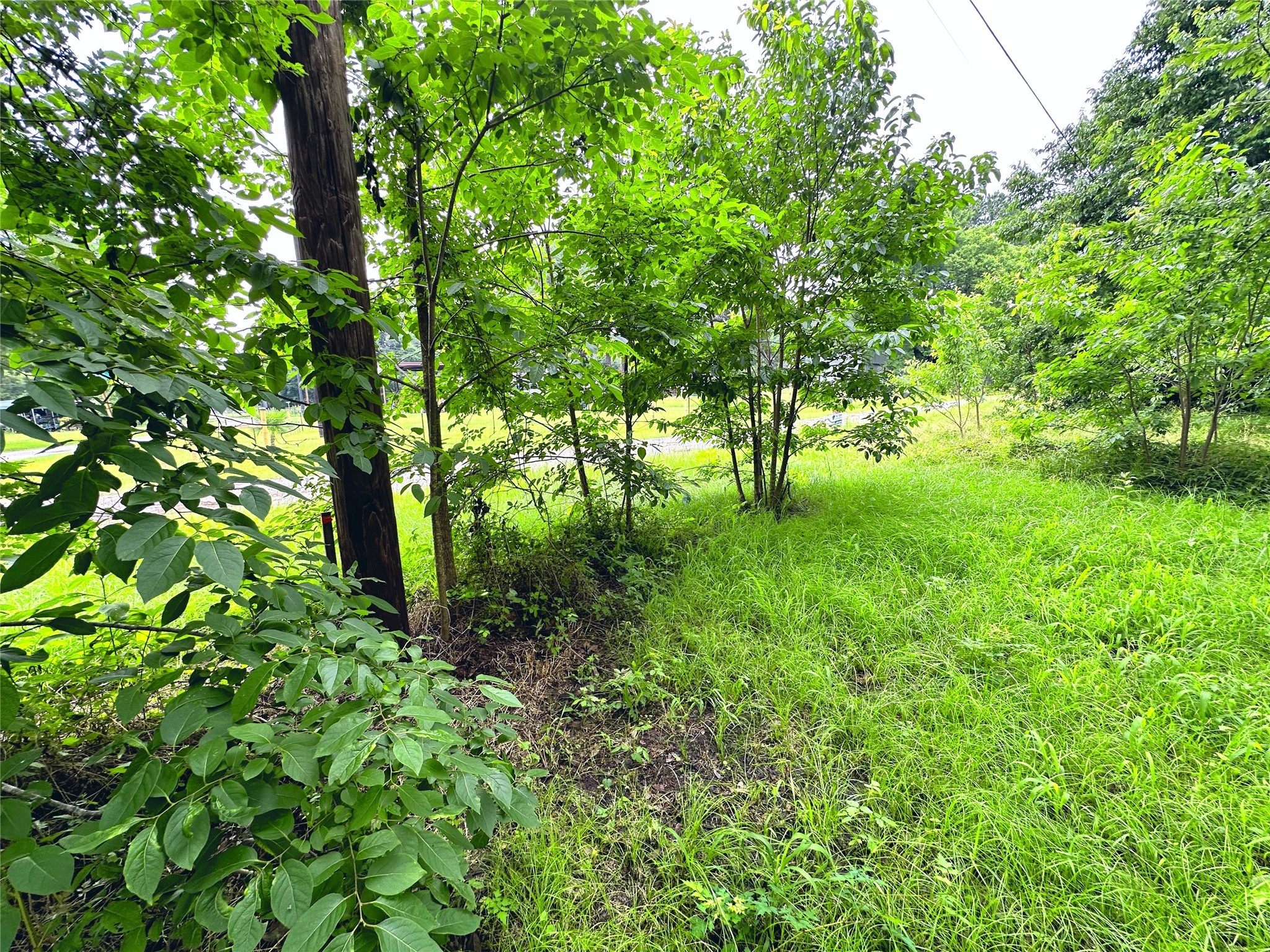 Lot 2 Cypress Avenue
