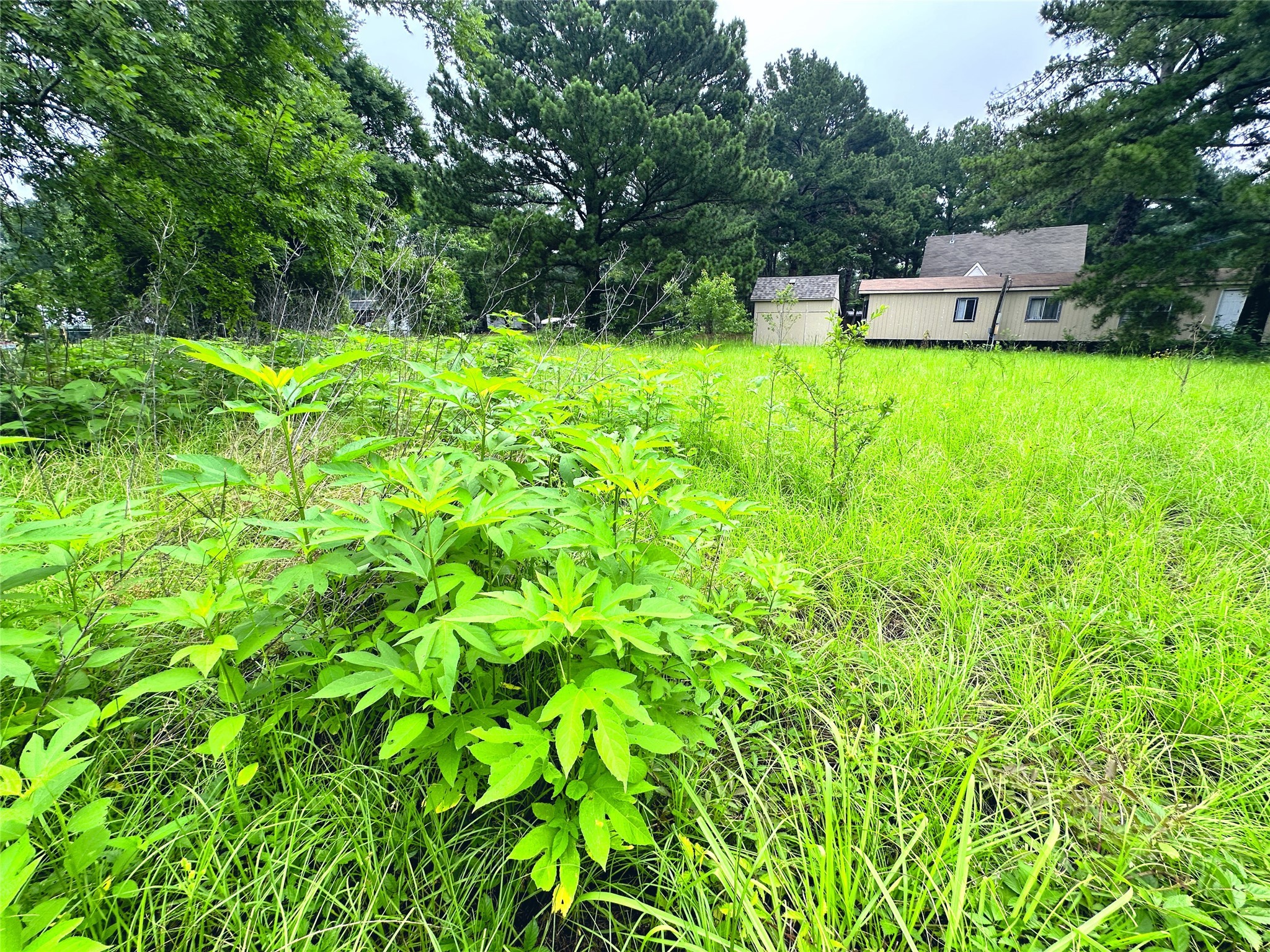Lot 2 Cypress Avenue