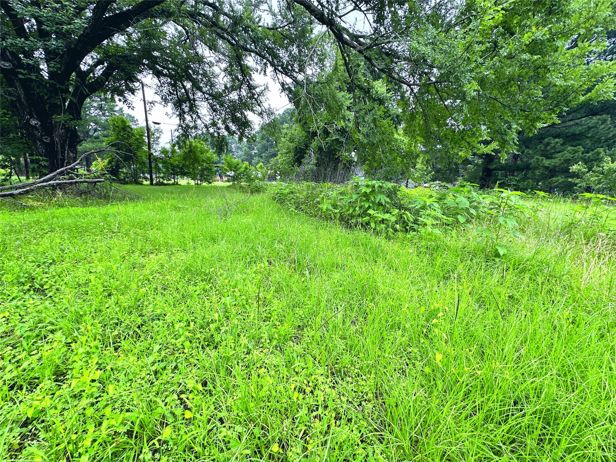 Lot 2 Cypress Avenue