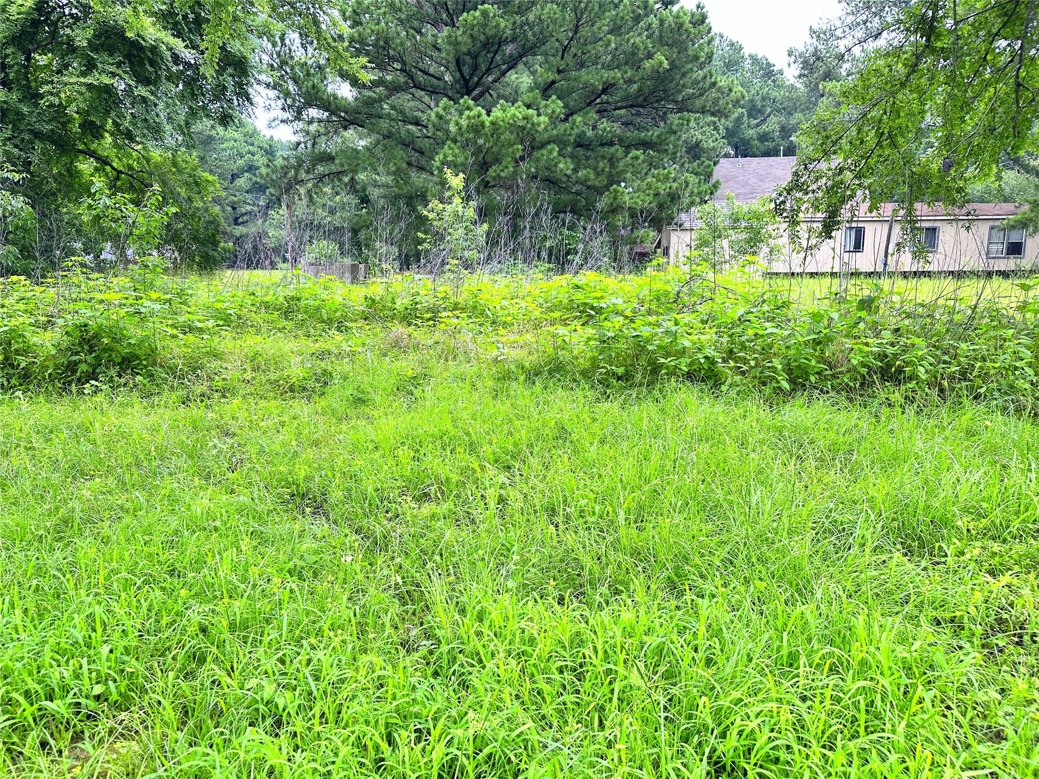 Lot 2 Cypress Avenue