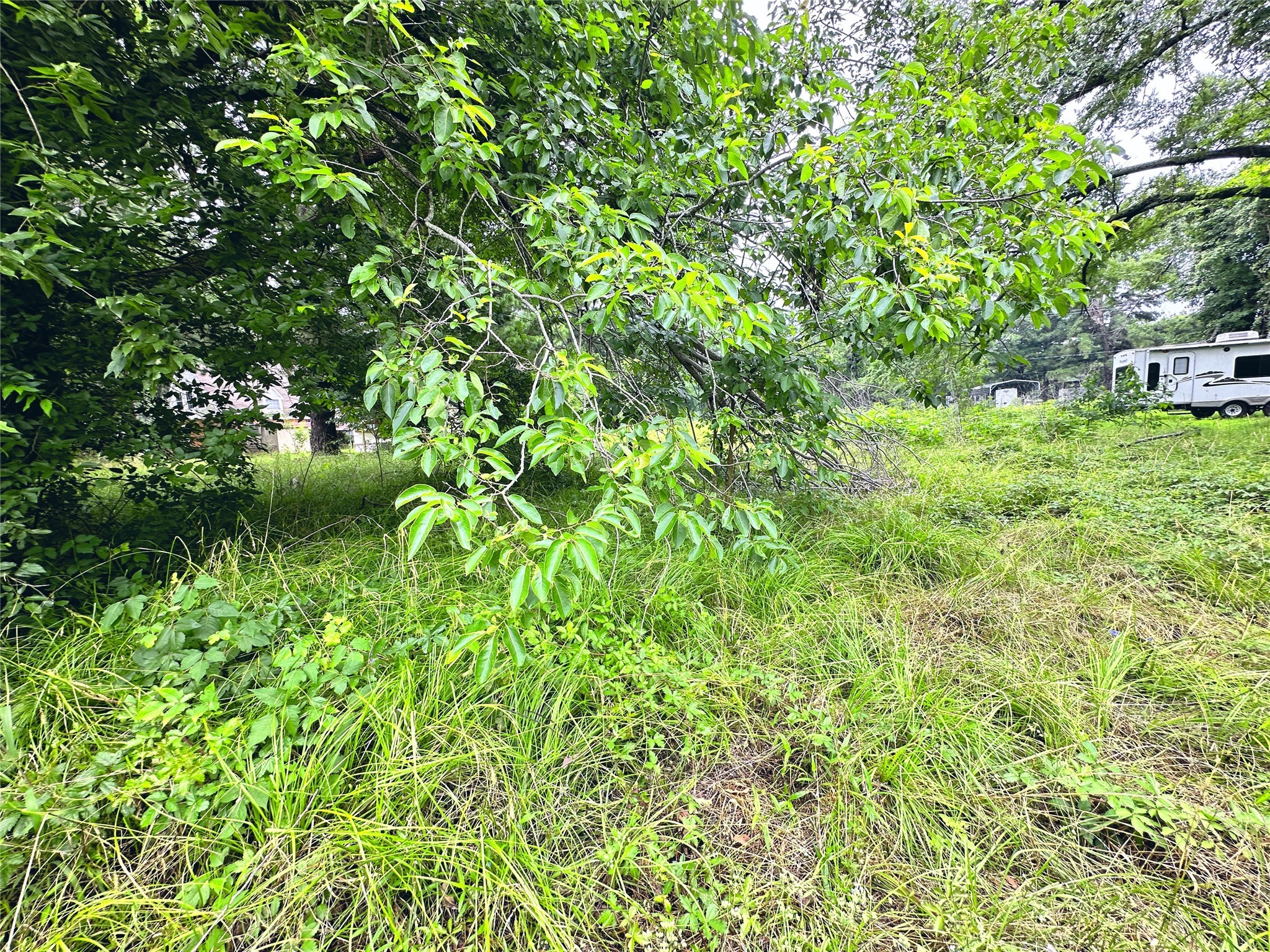 Lot 2 Cypress Avenue
