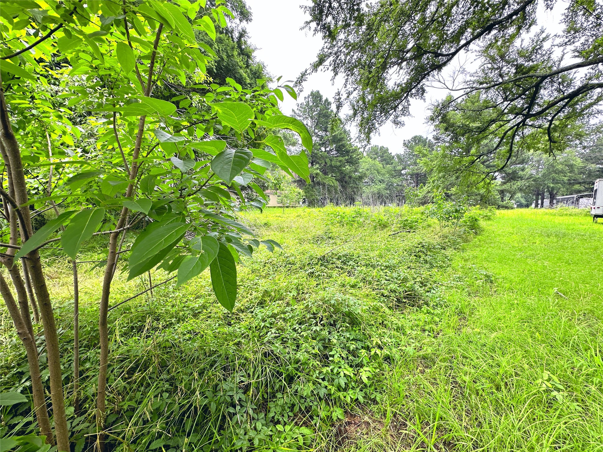 Lot 2 Cypress Avenue