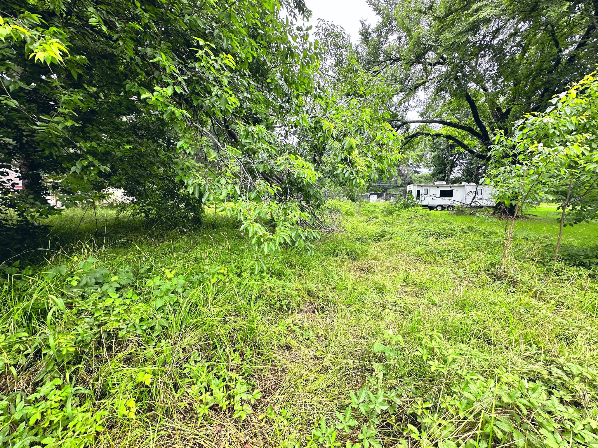 Lot 2 Cypress Avenue