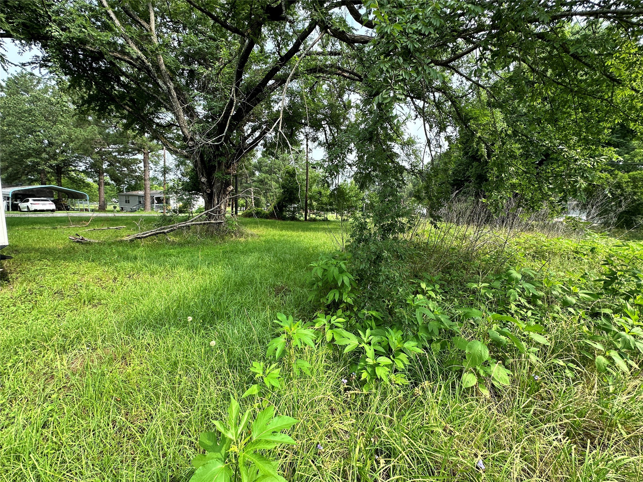 Lot 3 Cypress Avenue