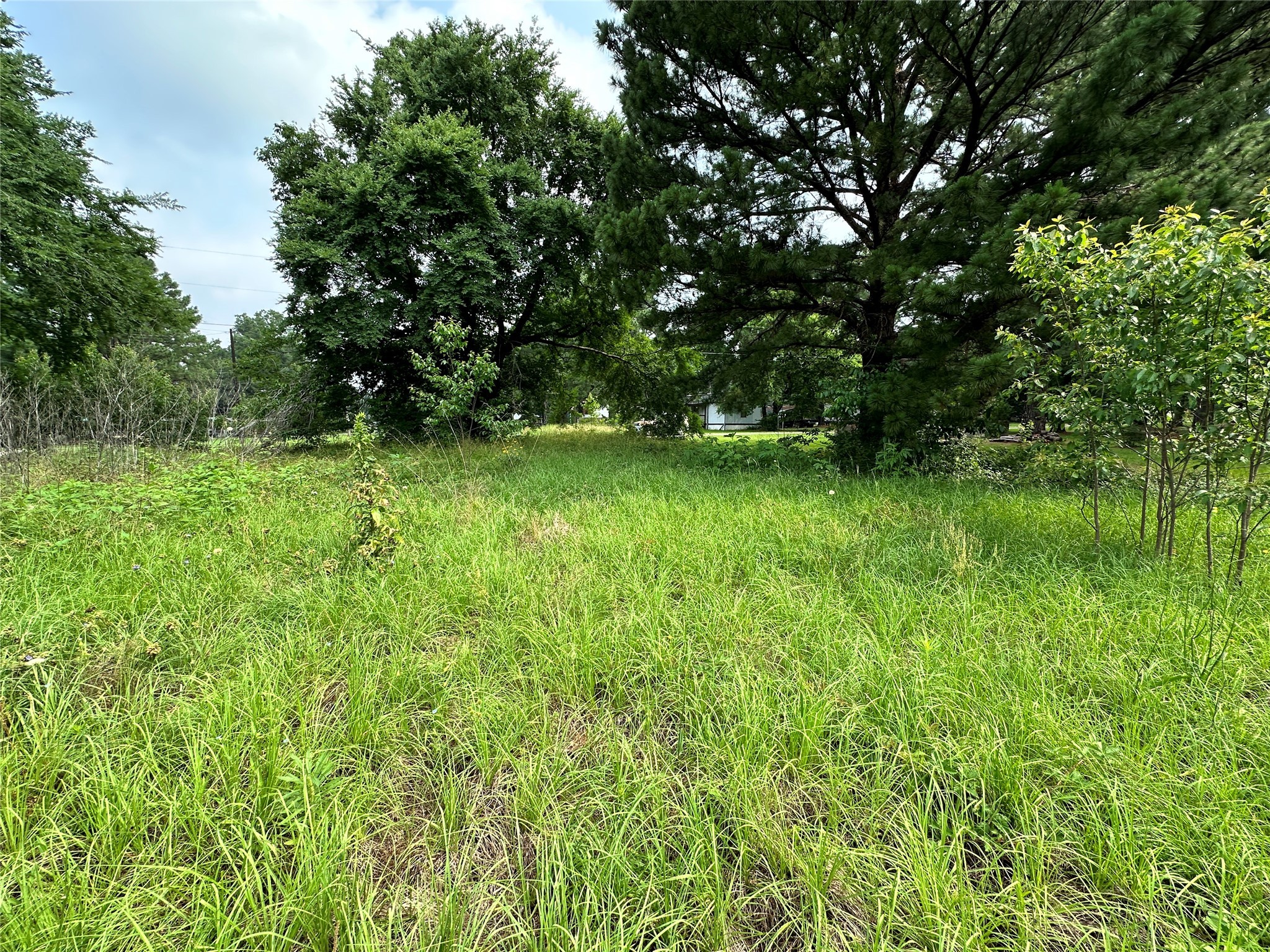 Lot 3 Cypress Avenue