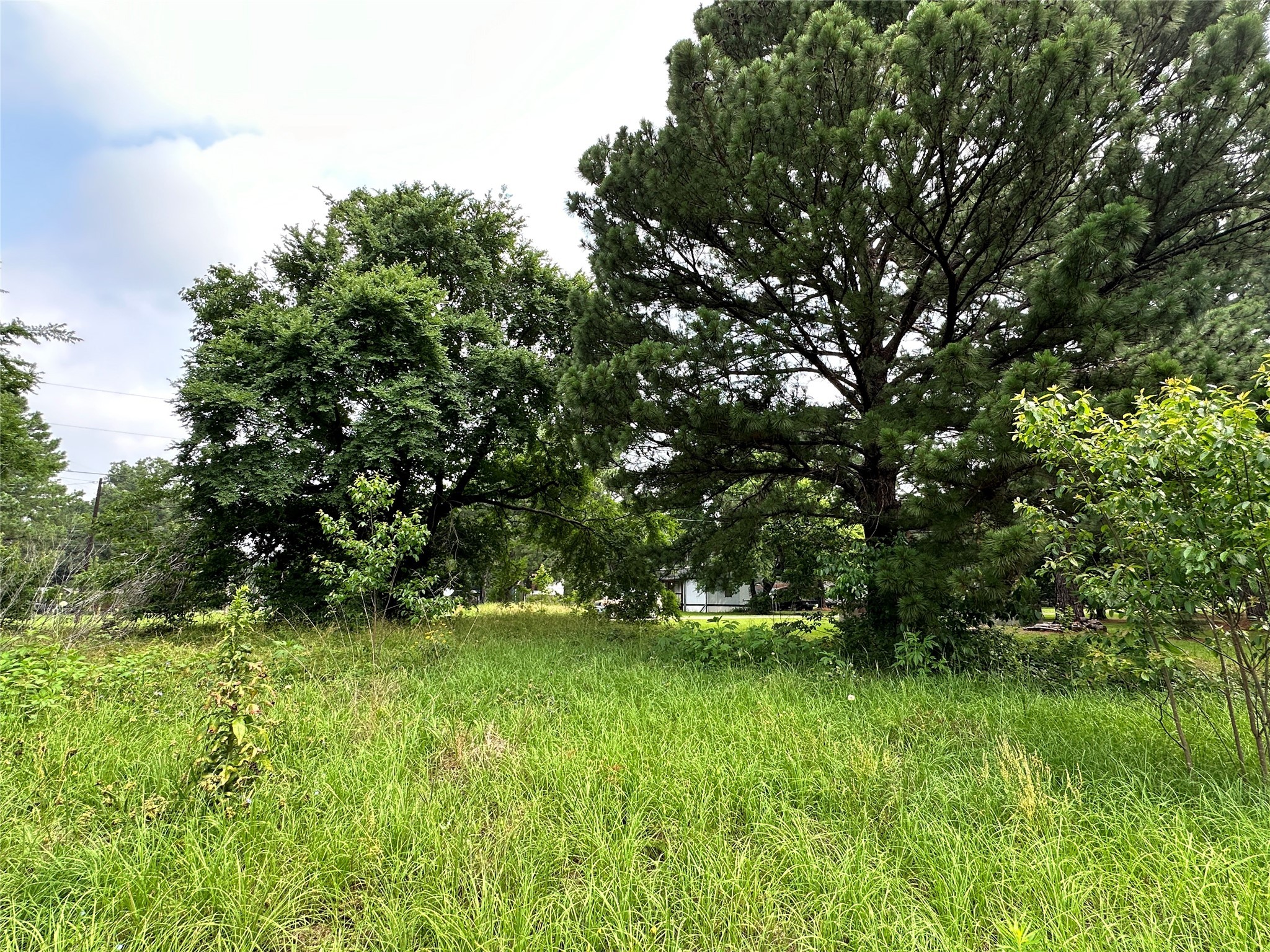 Lot 3 Cypress Avenue