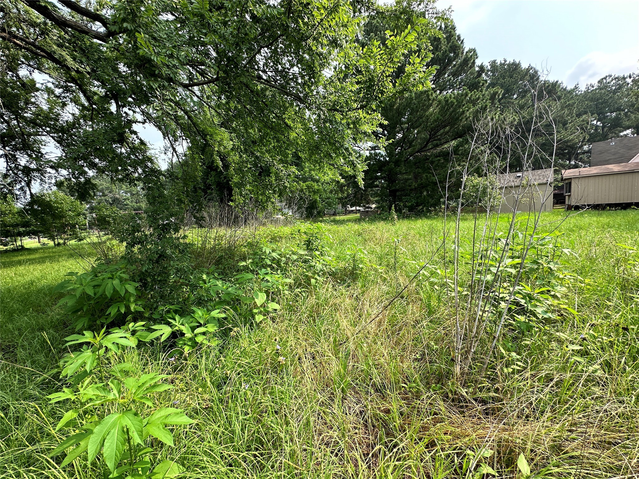Lot 3 Cypress Avenue