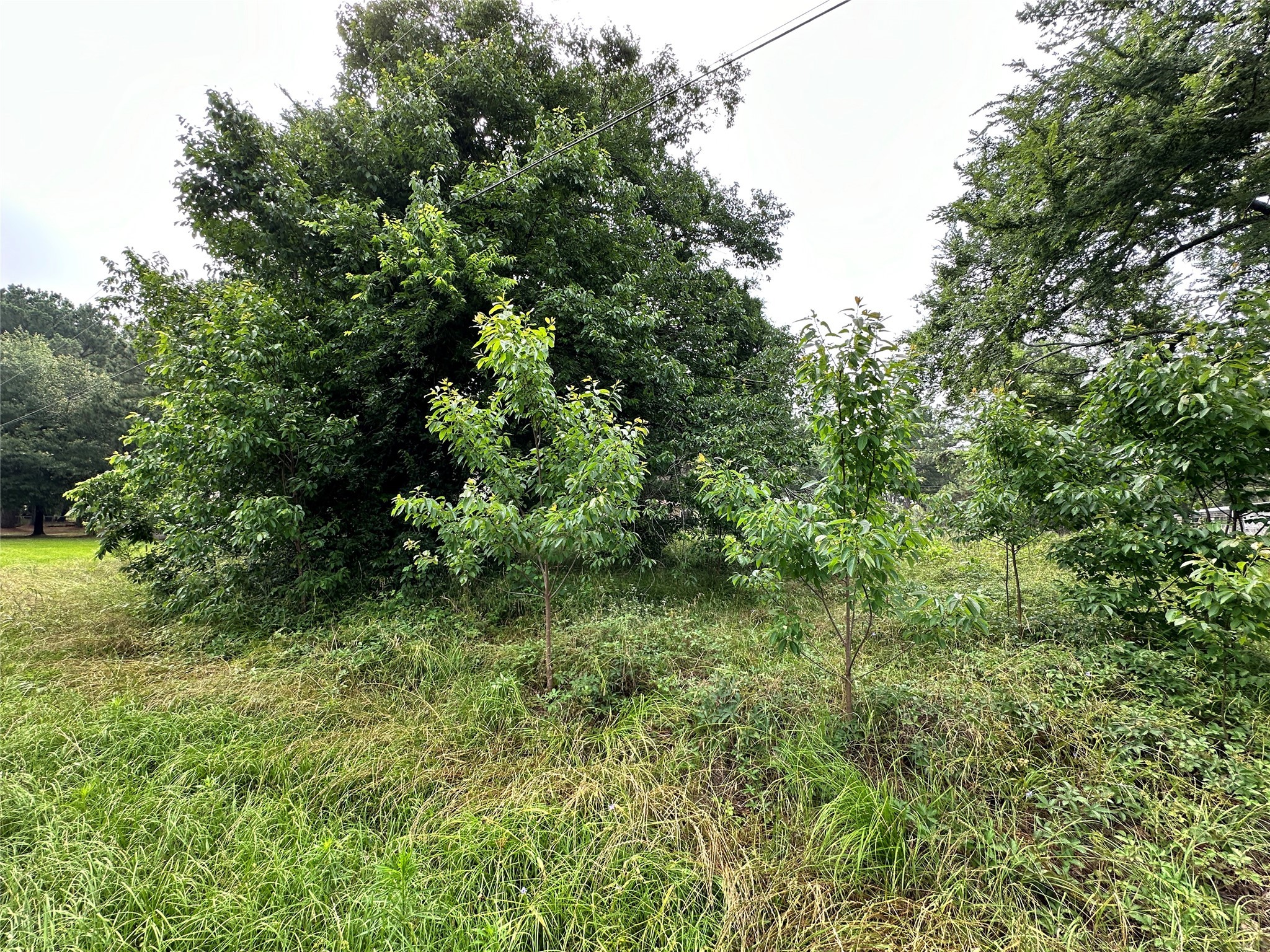 Lot 3 Cypress Avenue
