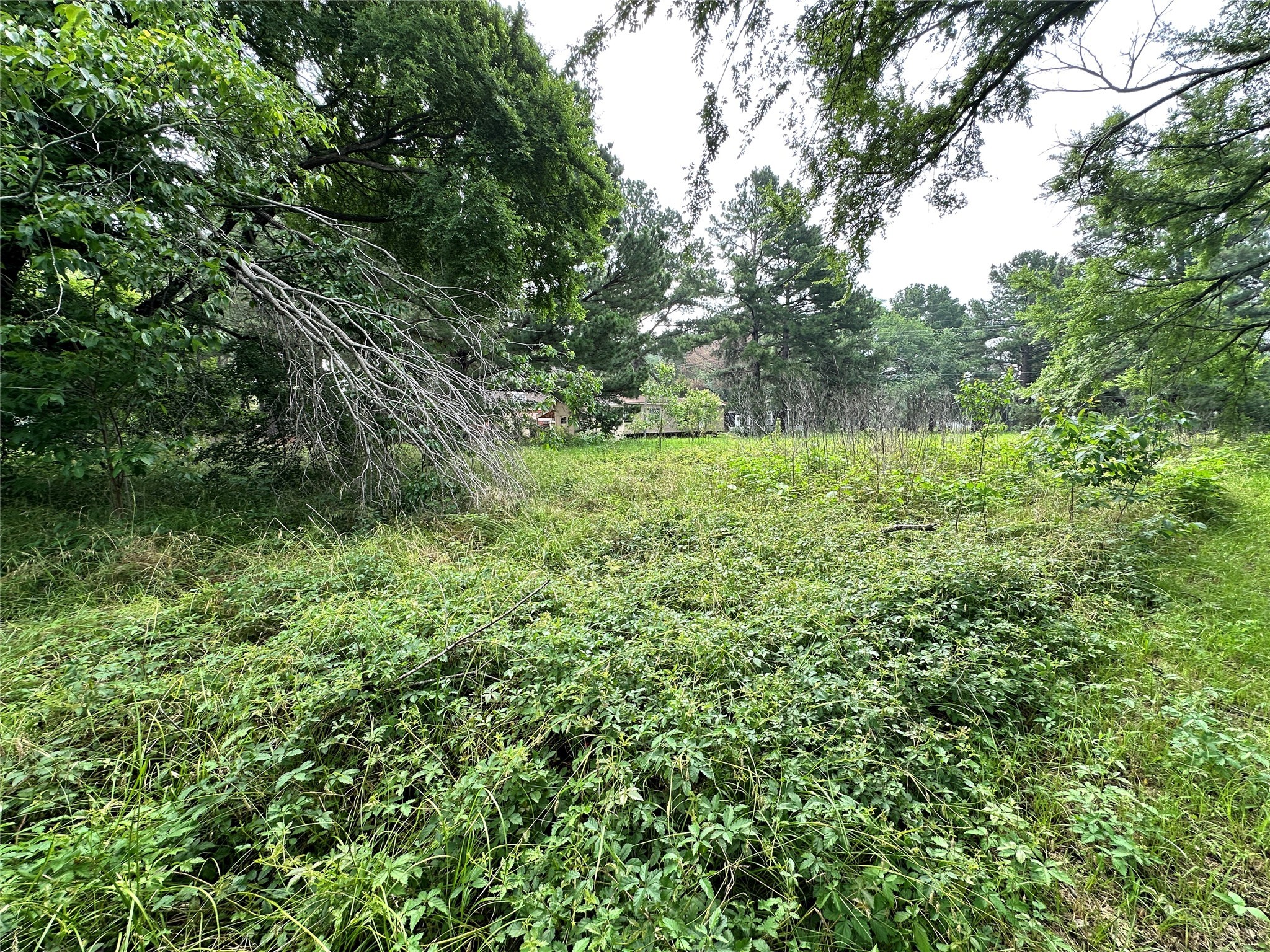 Lot 3 Cypress Avenue