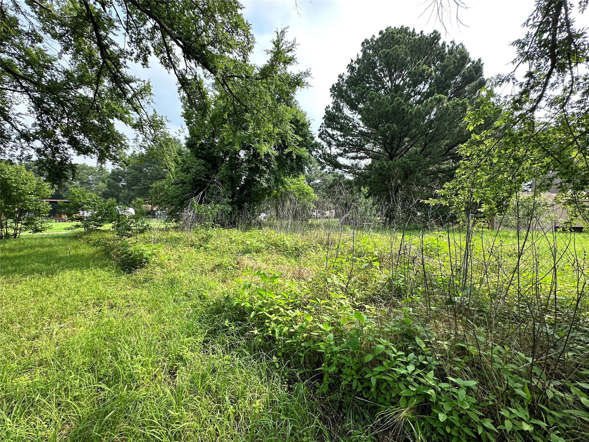 Lot 3 Cypress Avenue