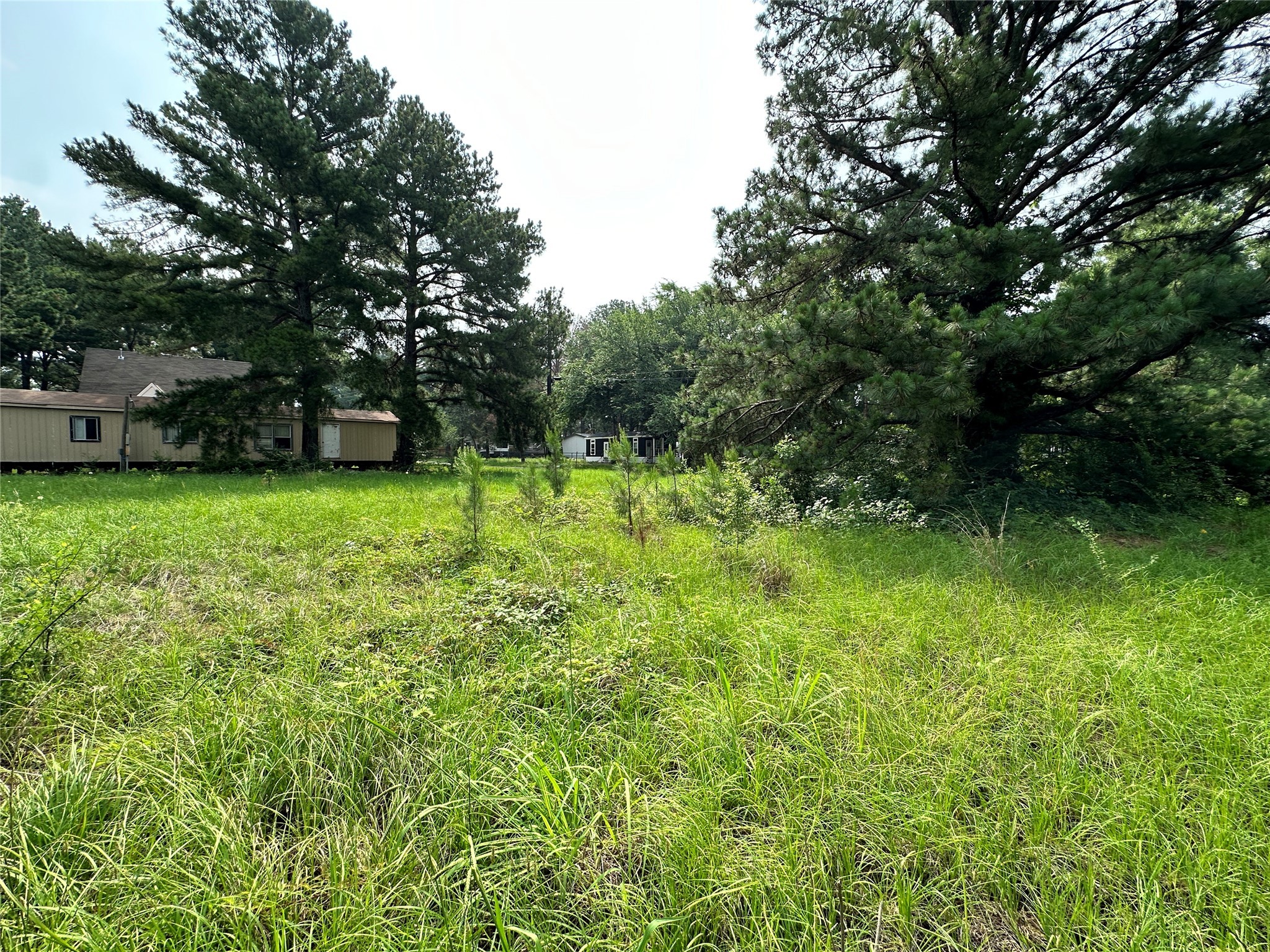 Lots 26 & 27 Ashley Avenue